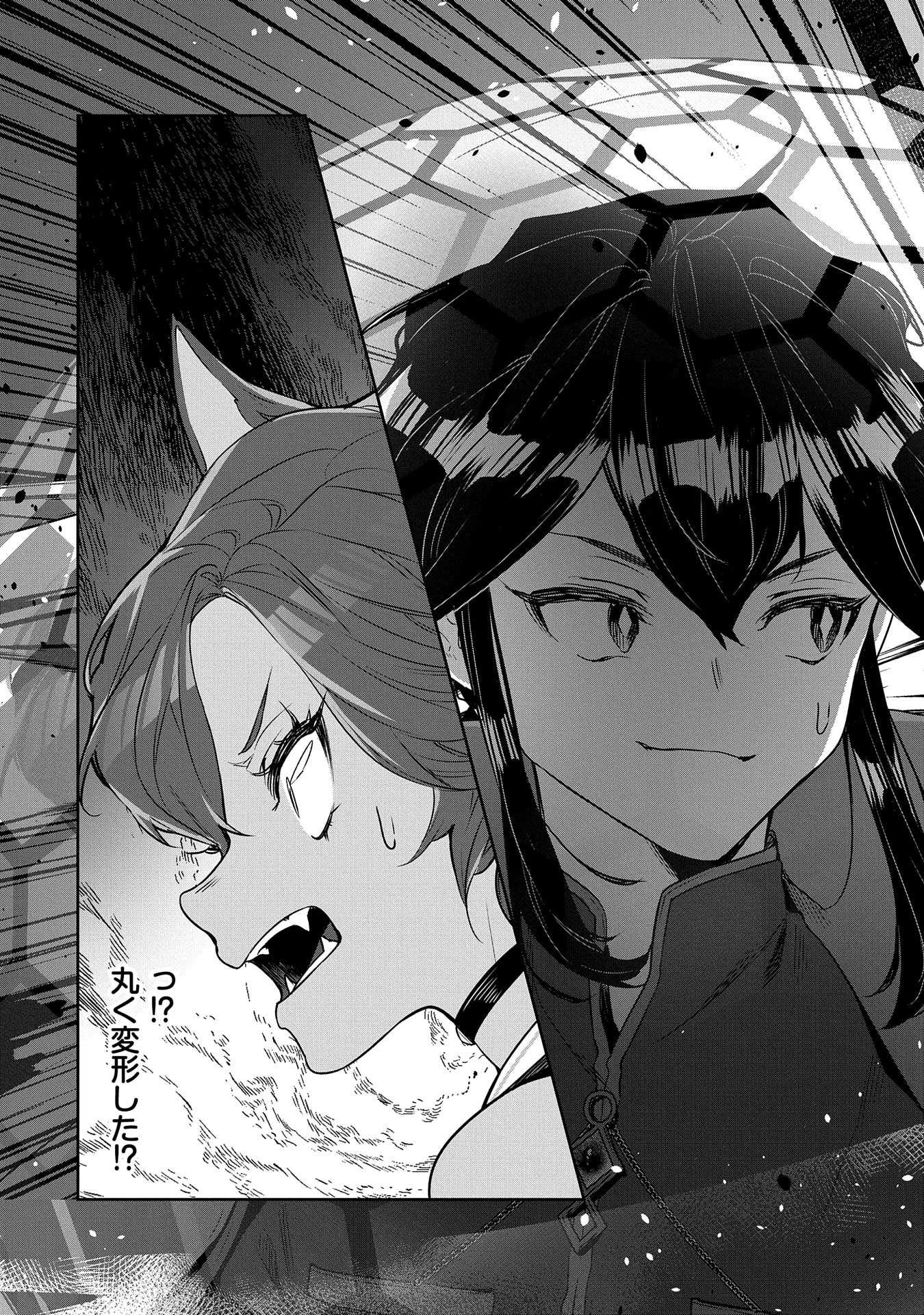 国に最強のバリアを張ったら平和になりすぎて追放されました。～俺の魔法がヤバすぎて、美女と魔族に囲まれてるんだが！？～ 第4話 - 23