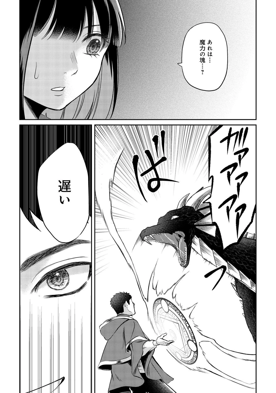 中年魔術師の悠々自適なダンジョン攻略～スキルオーブを使ったら最強スキルを手に入れたので、好きに生きようと思います～@COMIC 第15.1話 - 8