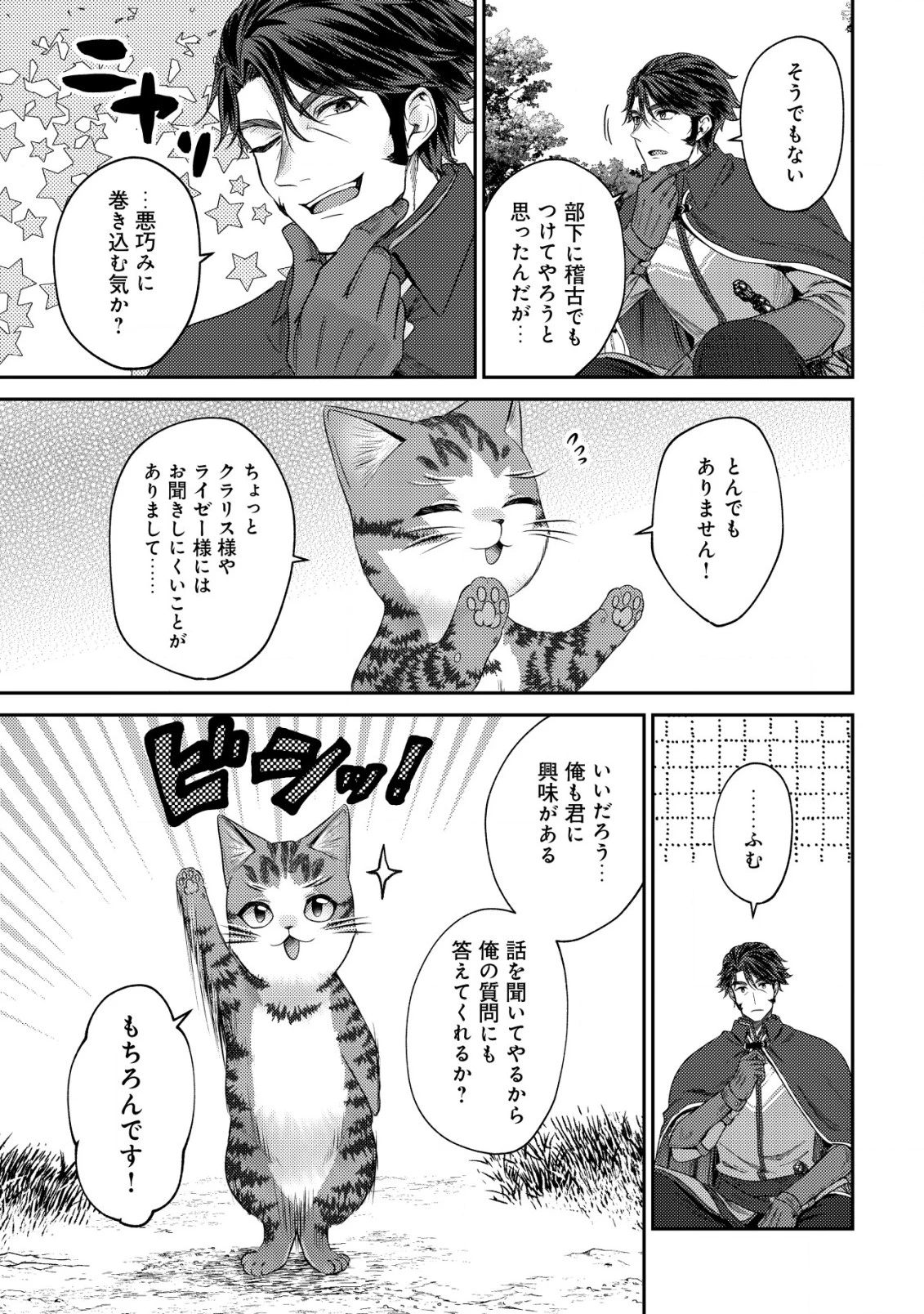 我輩は猫魔導師である～キジトラ・ルークの快適チート猫生活～ 第14話 - 3