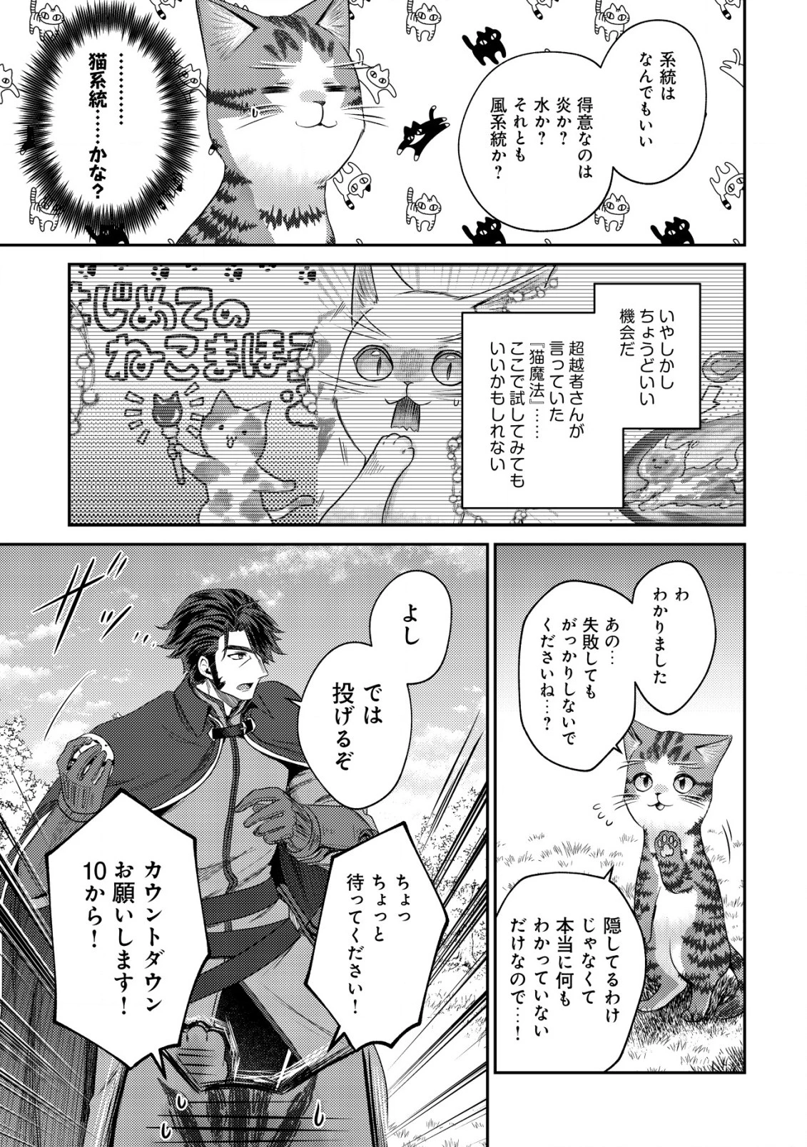 我輩は猫魔導師である～キジトラ・ルークの快適チート猫生活～ 第14話 - 9