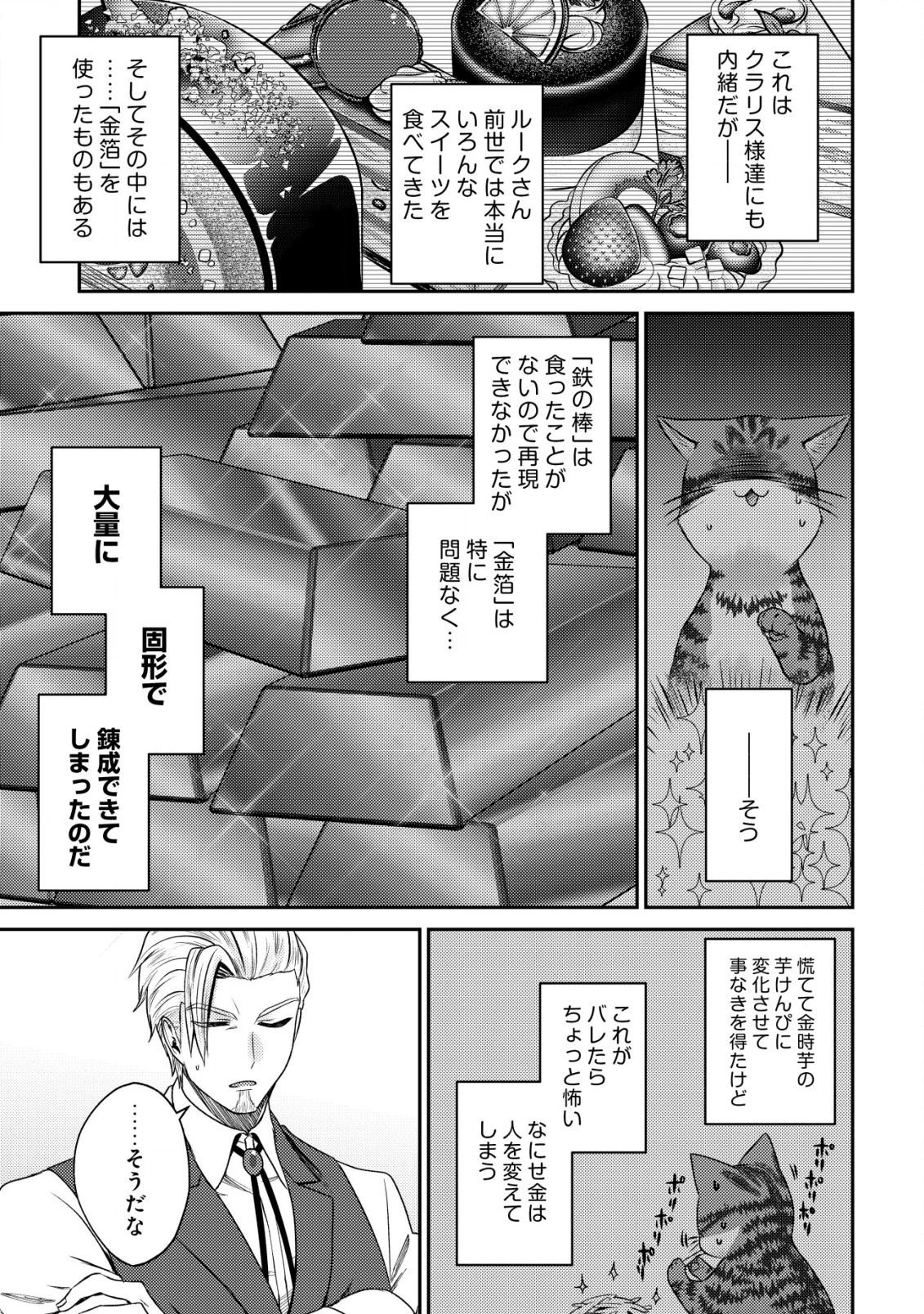 我輩は猫魔導師である～キジトラ・ルークの快適チート猫生活～ 第13話 - 11