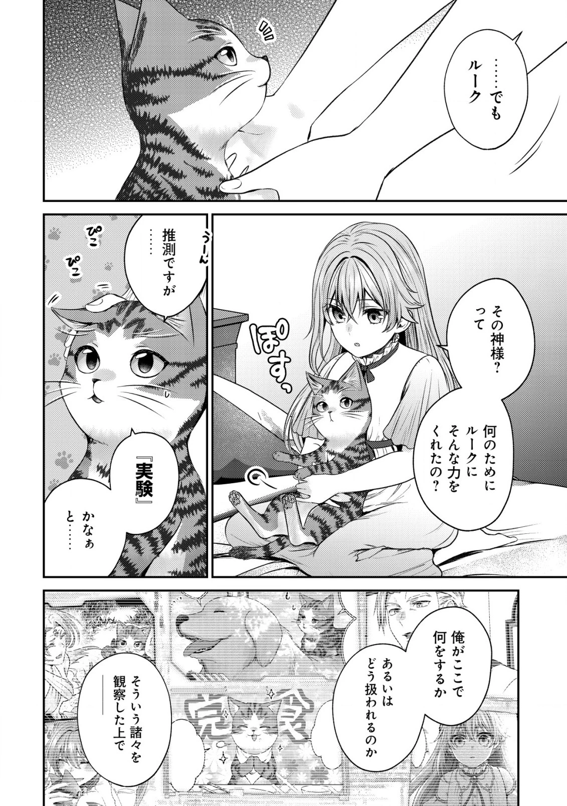 我輩は猫魔導師である～キジトラ・ルークの快適チート猫生活～ 第11話 - 2