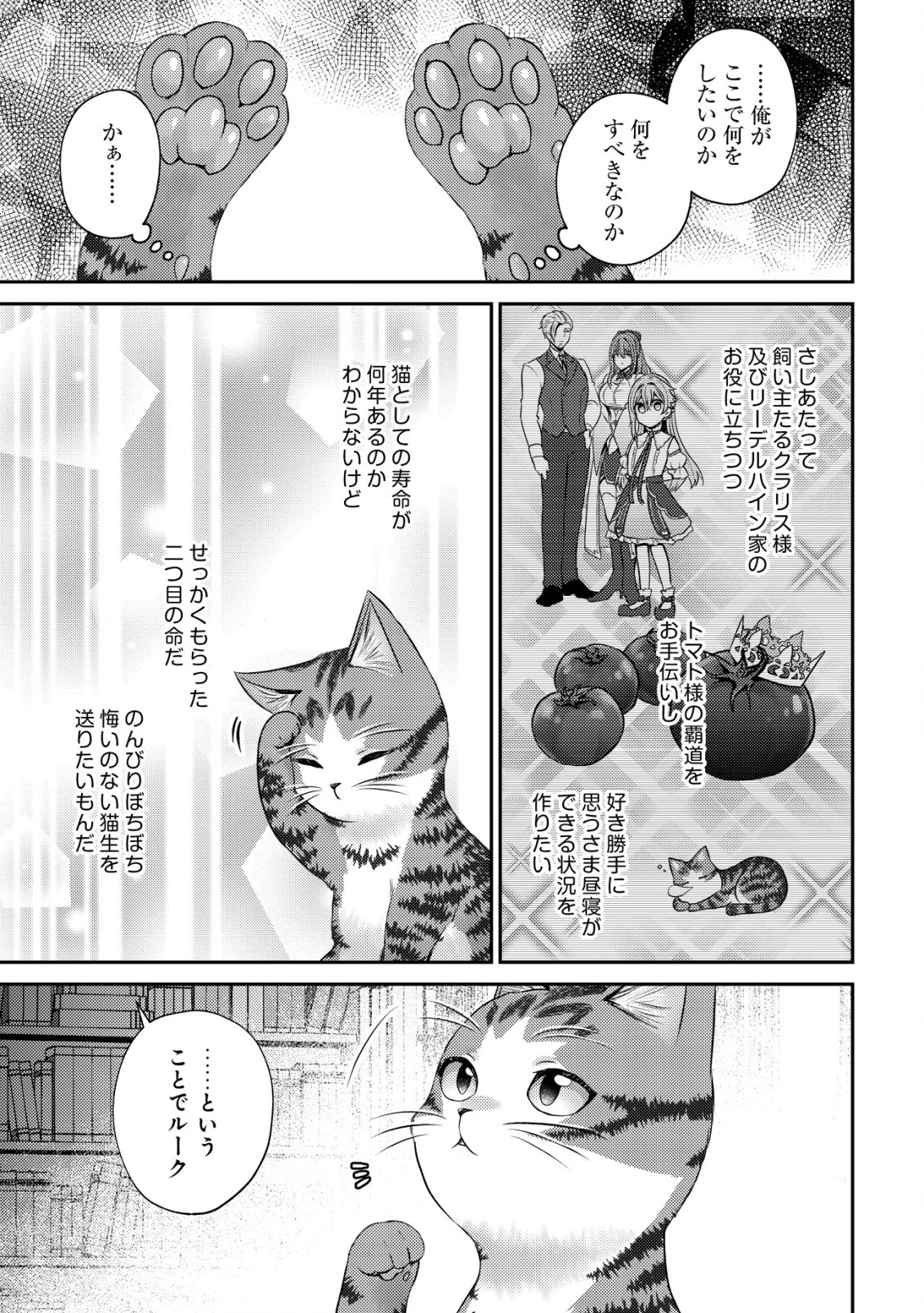 我輩は猫魔導師である～キジトラ・ルークの快適チート猫生活～ 第11話 - 5