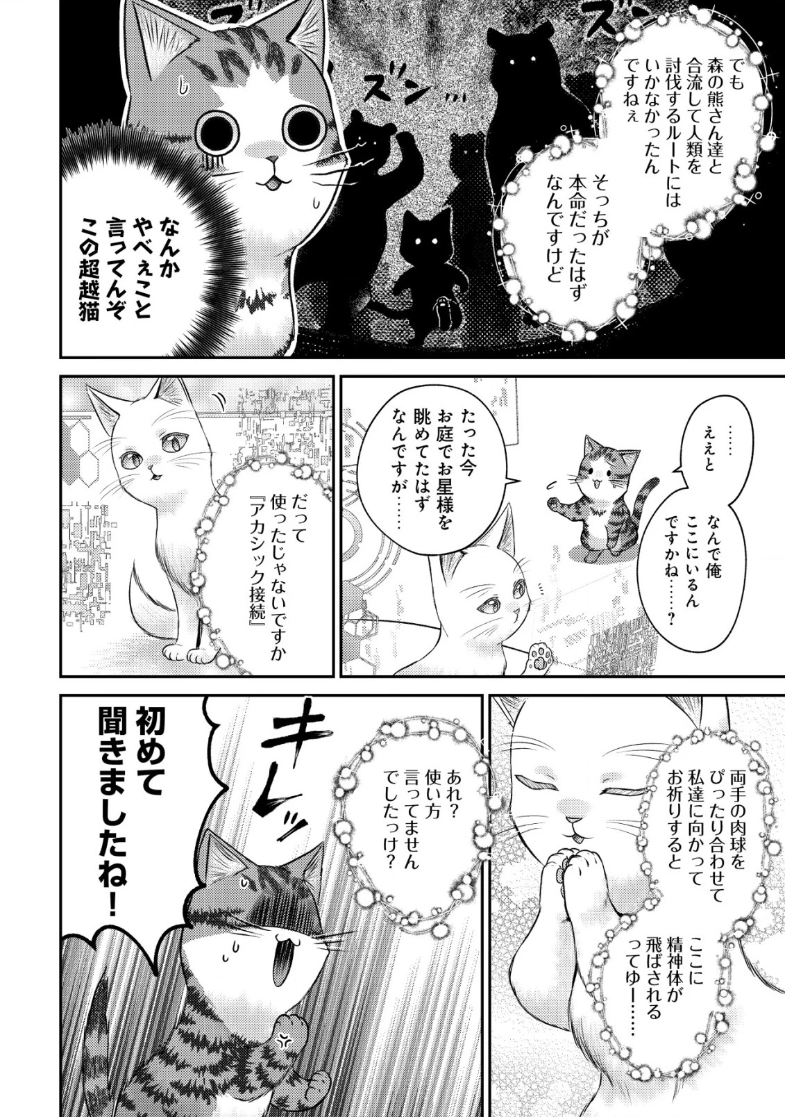 我輩は猫魔導師である～キジトラ・ルークの快適チート猫生活～ 第10話 - 2