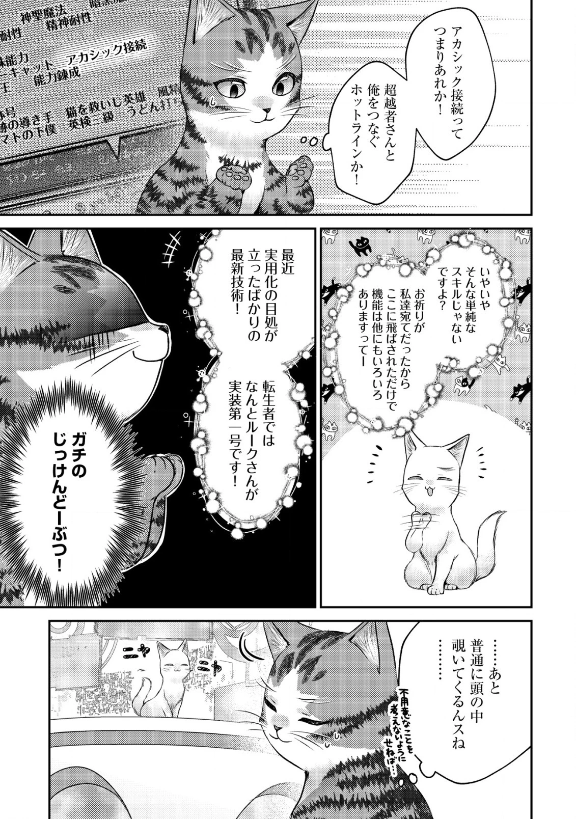 我輩は猫魔導師である～キジトラ・ルークの快適チート猫生活～ 第10話 - 3