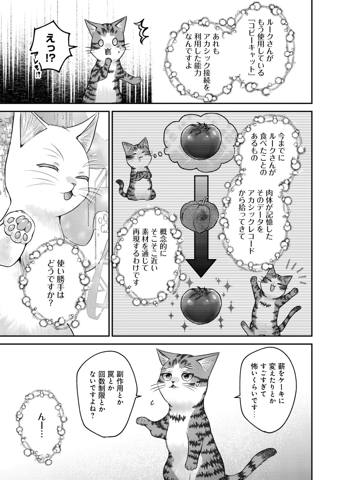 我輩は猫魔導師である～キジトラ・ルークの快適チート猫生活～ 第10話 - 7