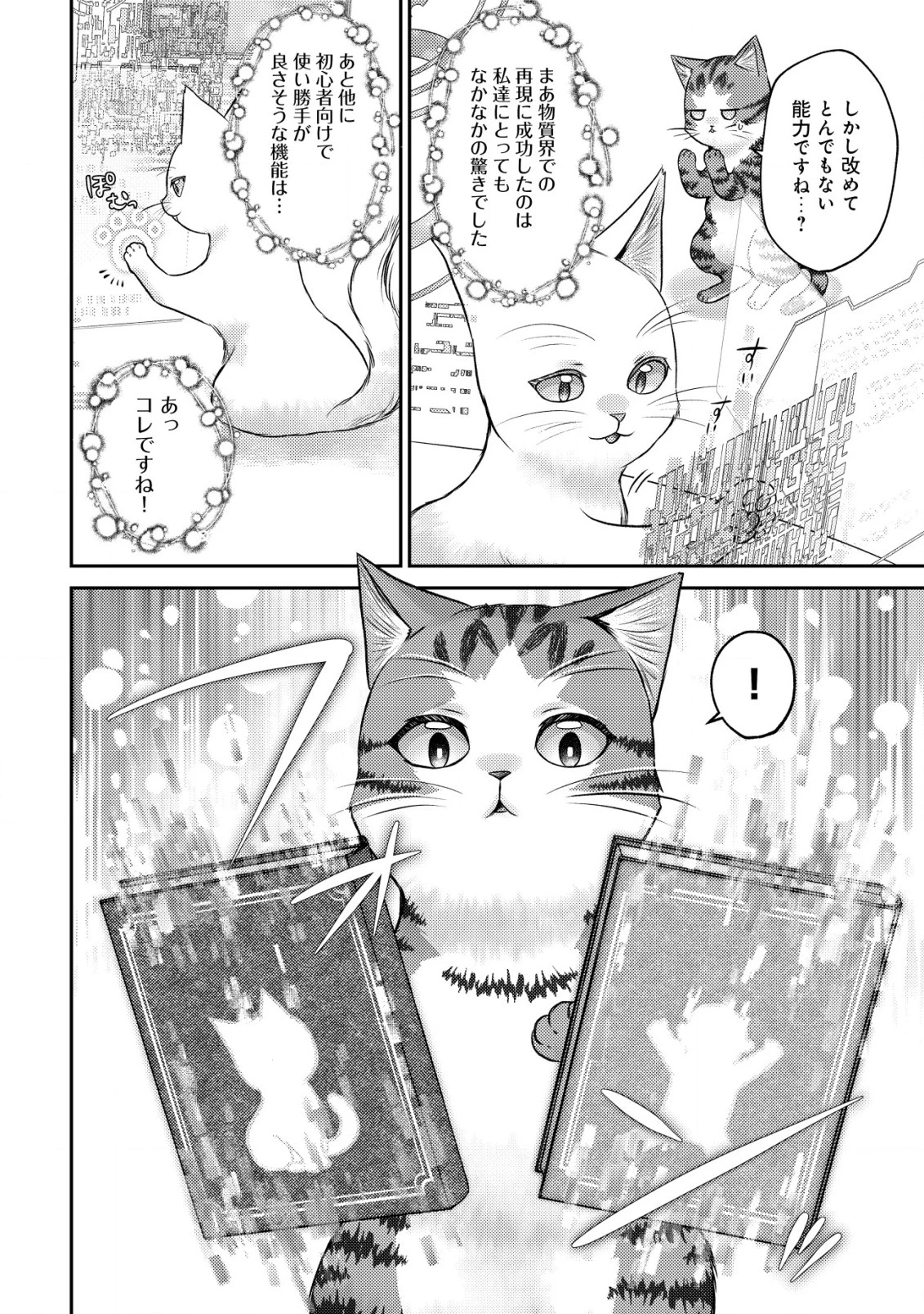 我輩は猫魔導師である～キジトラ・ルークの快適チート猫生活～ 第10話 - 10