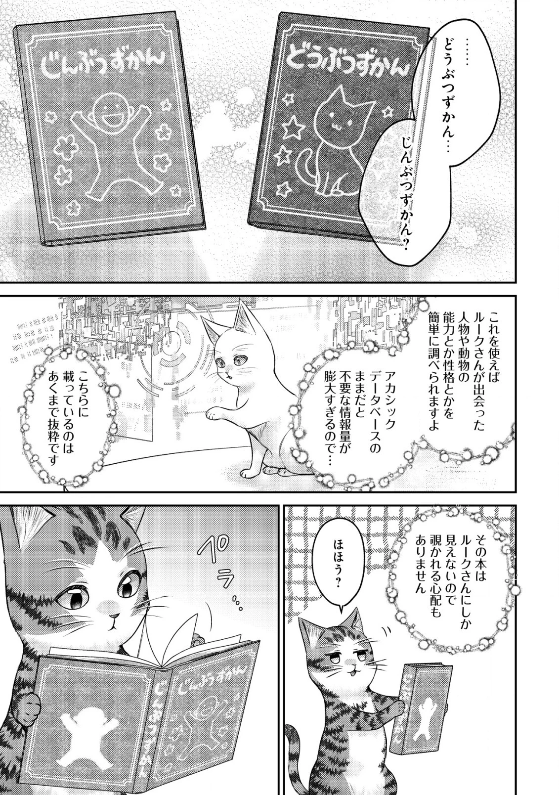 我輩は猫魔導師である～キジトラ・ルークの快適チート猫生活～ 第10話 - 11
