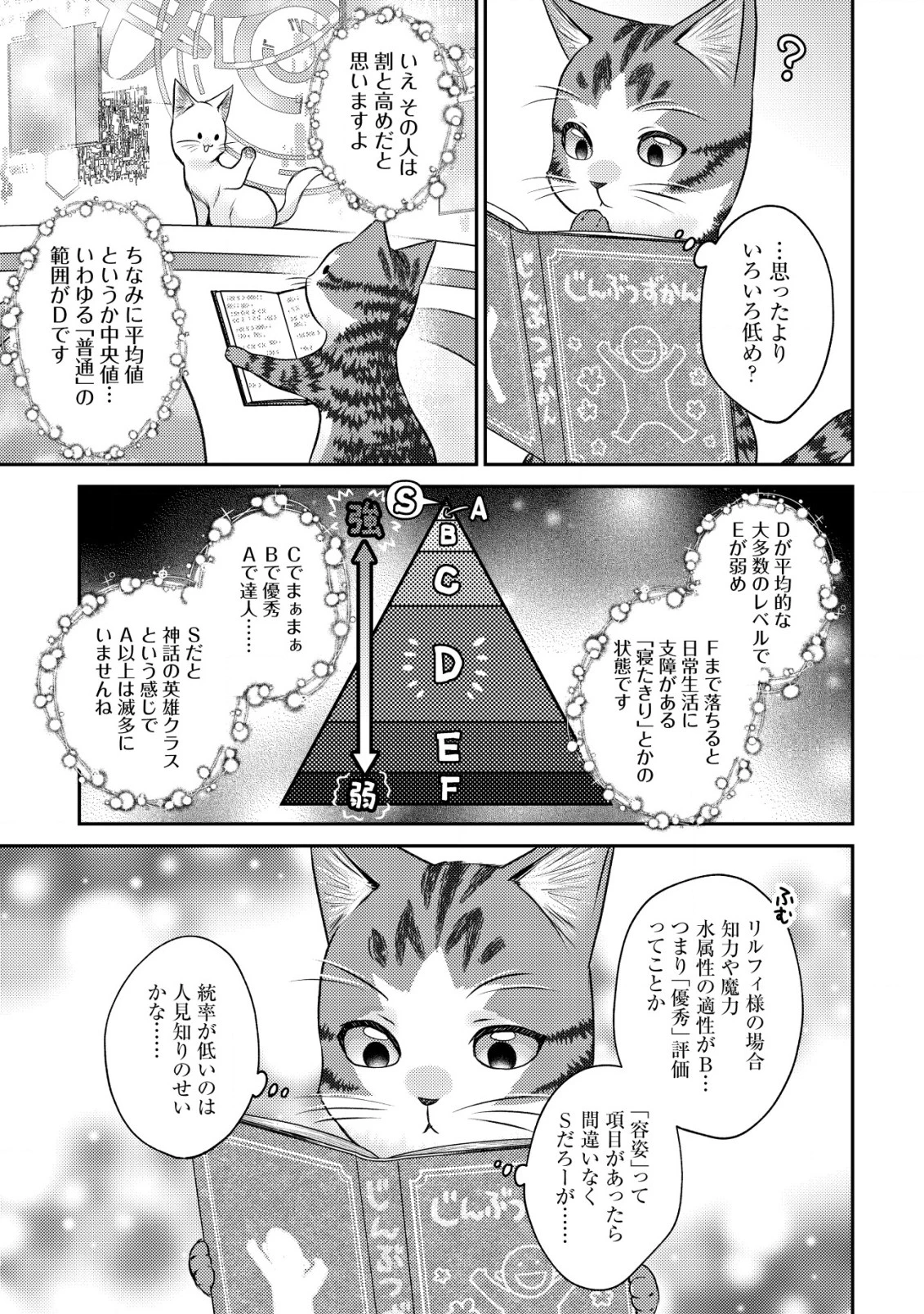 我輩は猫魔導師である～キジトラ・ルークの快適チート猫生活～ 第10話 - 13