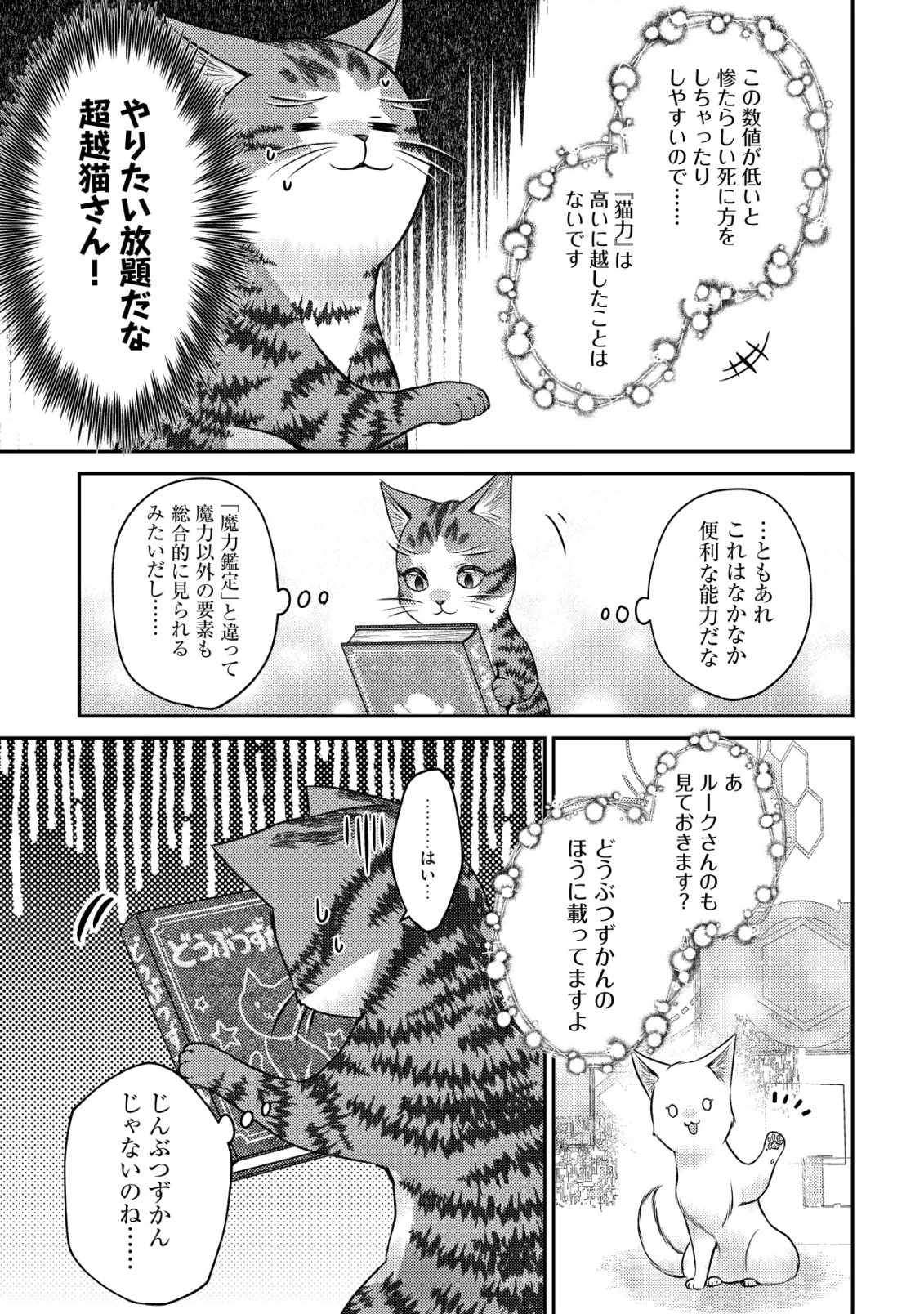 我輩は猫魔導師である～キジトラ・ルークの快適チート猫生活～ 第10話 - 15