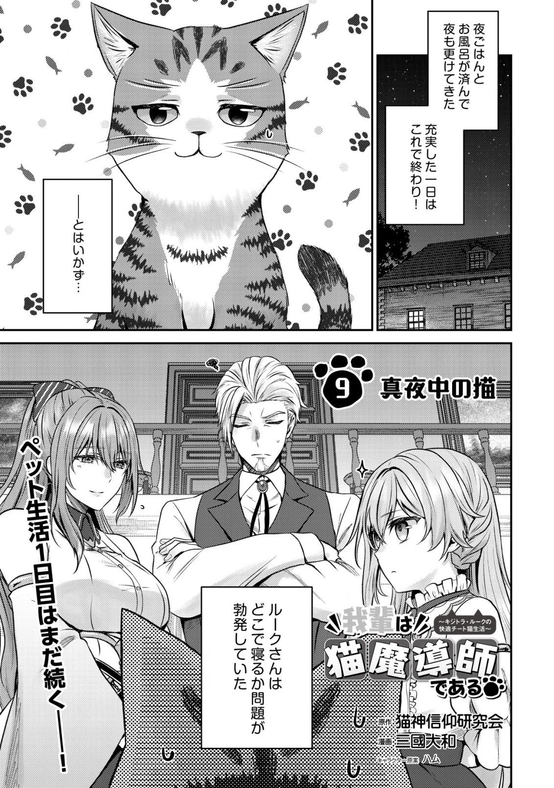 我輩は猫魔導師である～キジトラ・ルークの快適チート猫生活～ 第9話 - 1