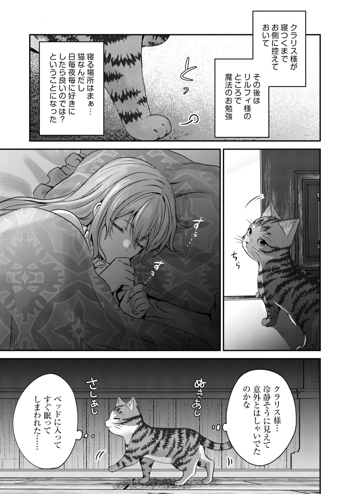 我輩は猫魔導師である～キジトラ・ルークの快適チート猫生活～ 第9話 - 3