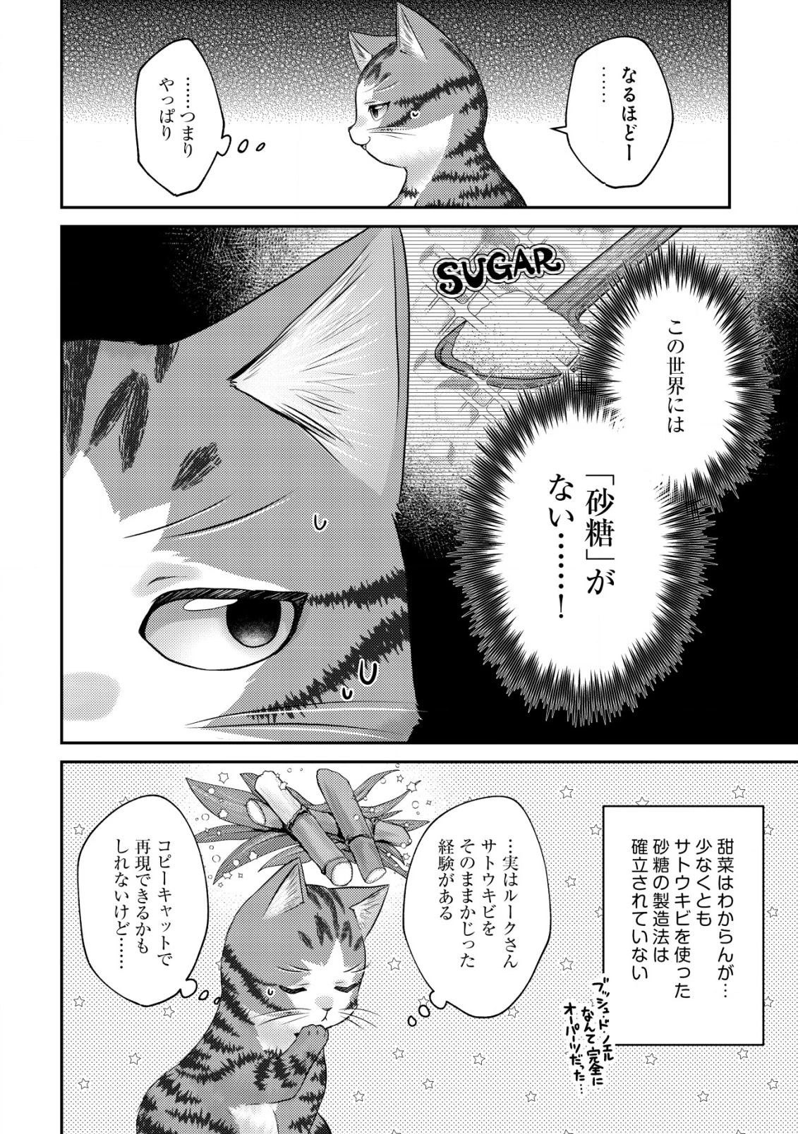 我輩は猫魔導師である～キジトラ・ルークの快適チート猫生活～ 第8話 - 6