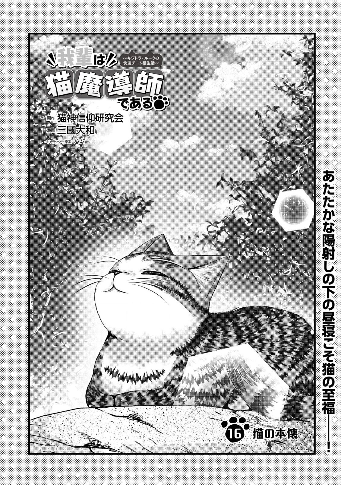 我輩は猫魔導師である～キジトラ・ルークの快適チート猫生活～ 第16話 - 1