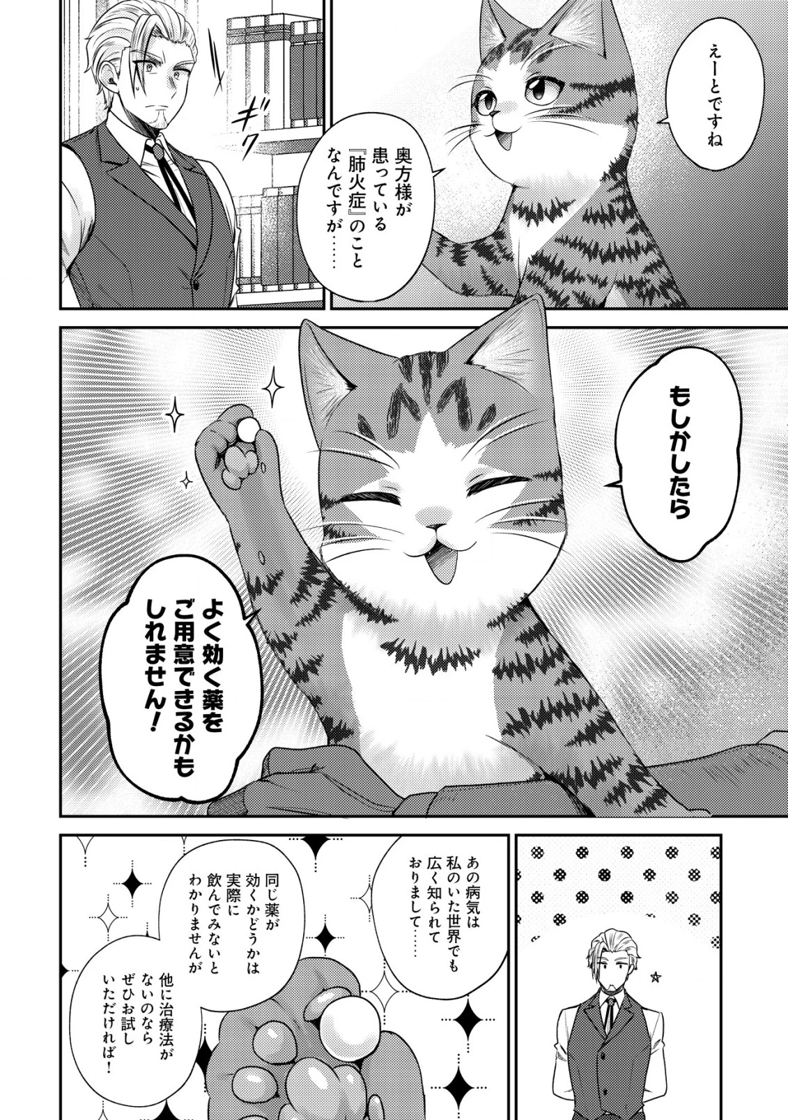 我輩は猫魔導師である～キジトラ・ルークの快適チート猫生活～ 第16話 - 8