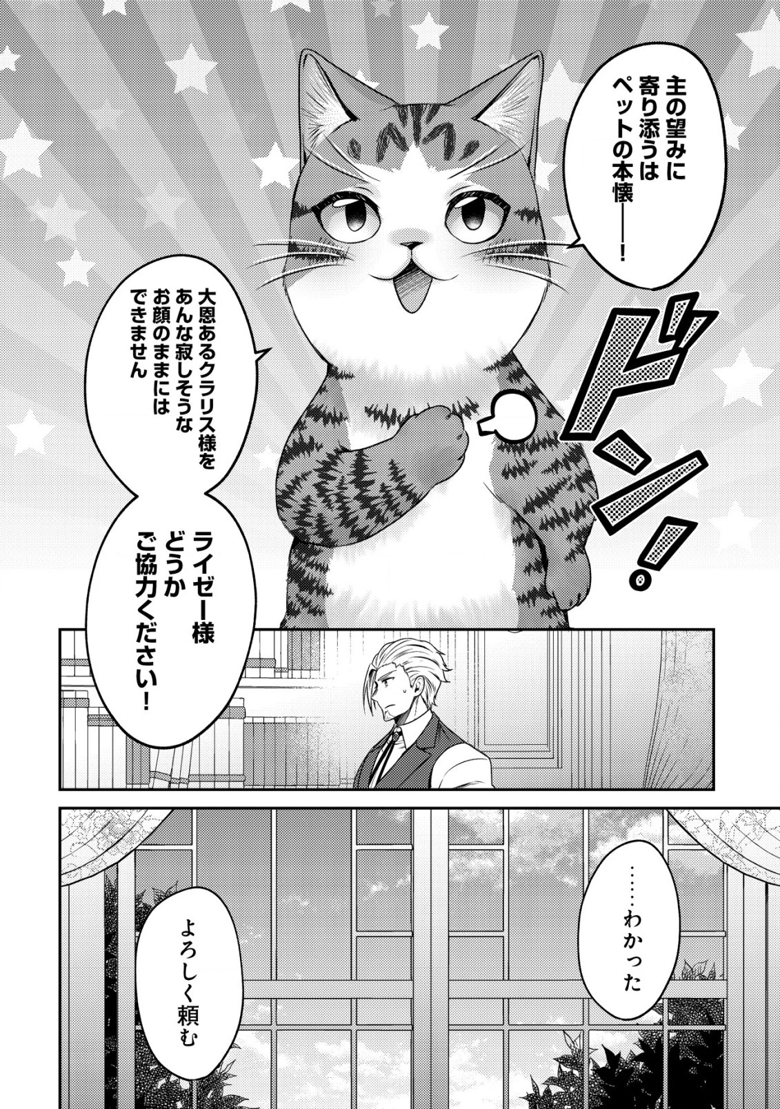 我輩は猫魔導師である～キジトラ・ルークの快適チート猫生活～ 第16話 - 12