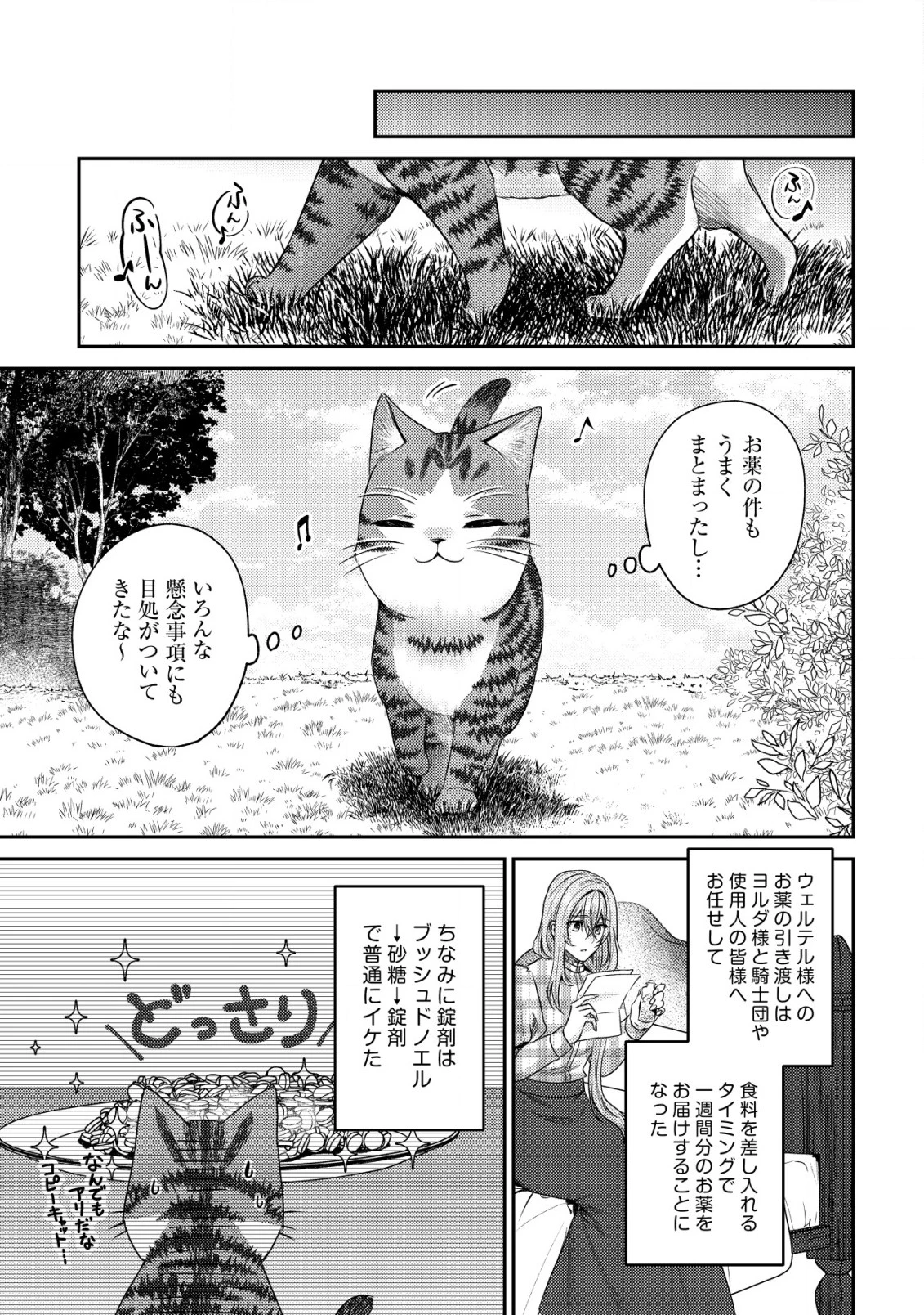 我輩は猫魔導師である～キジトラ・ルークの快適チート猫生活～ 第16話 - 13