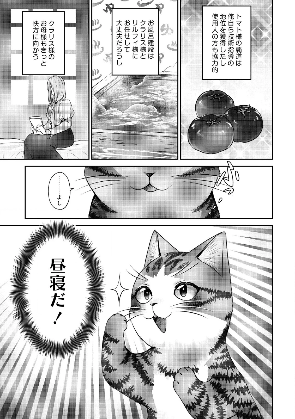 我輩は猫魔導師である～キジトラ・ルークの快適チート猫生活～ 第16話 - 15