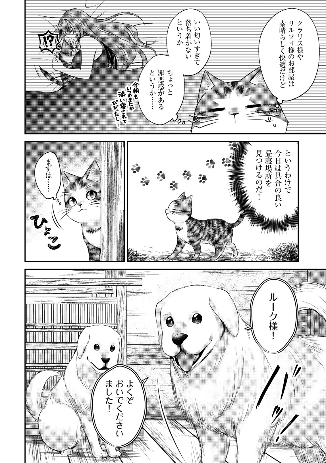 我輩は猫魔導師である～キジトラ・ルークの快適チート猫生活～ 第16話 - 16