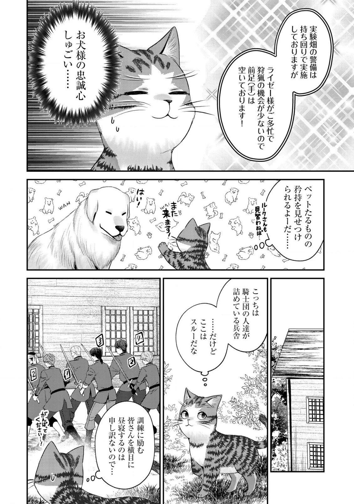 我輩は猫魔導師である～キジトラ・ルークの快適チート猫生活～ 第16話 - 18