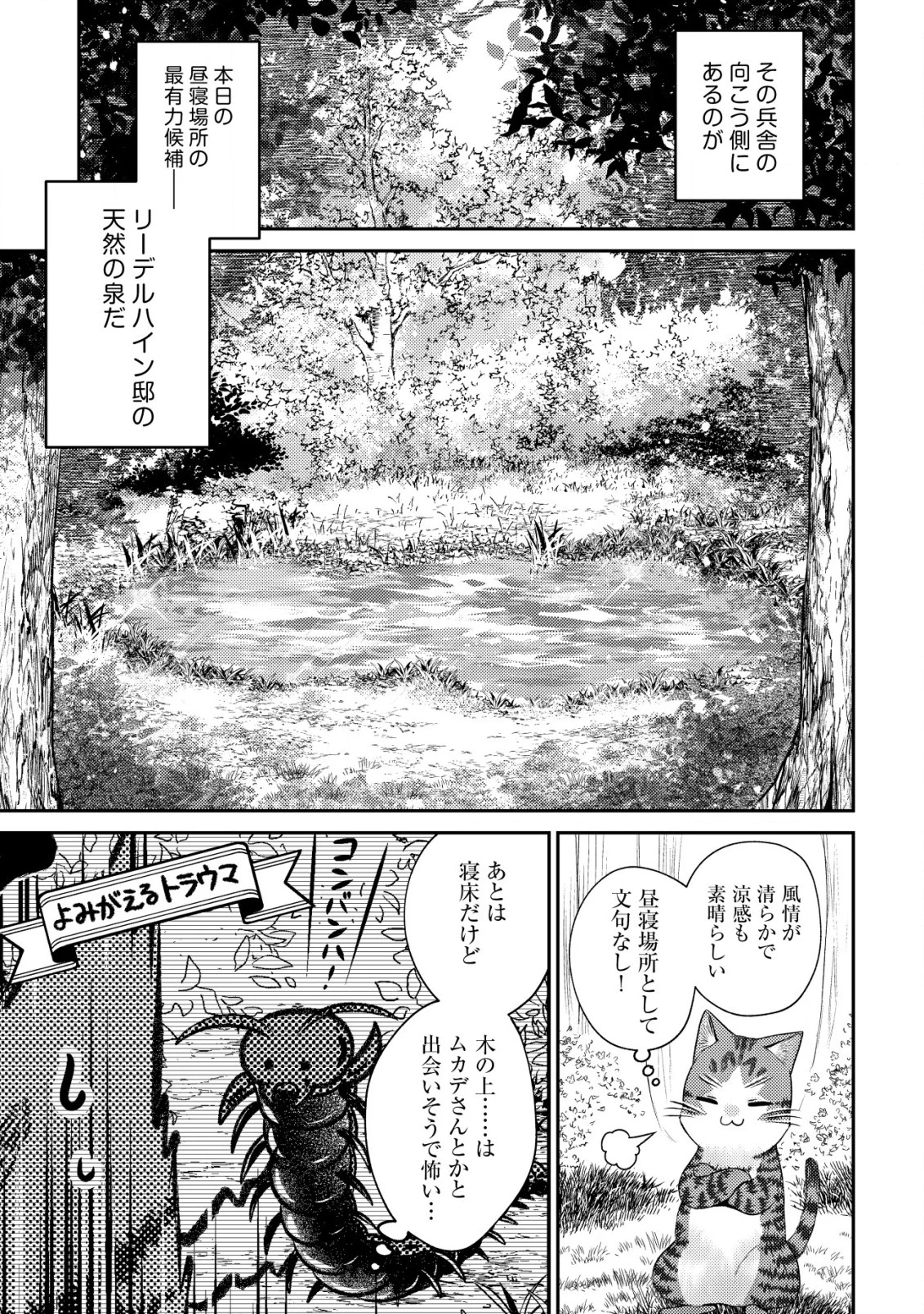 我輩は猫魔導師である～キジトラ・ルークの快適チート猫生活～ 第16話 - 19