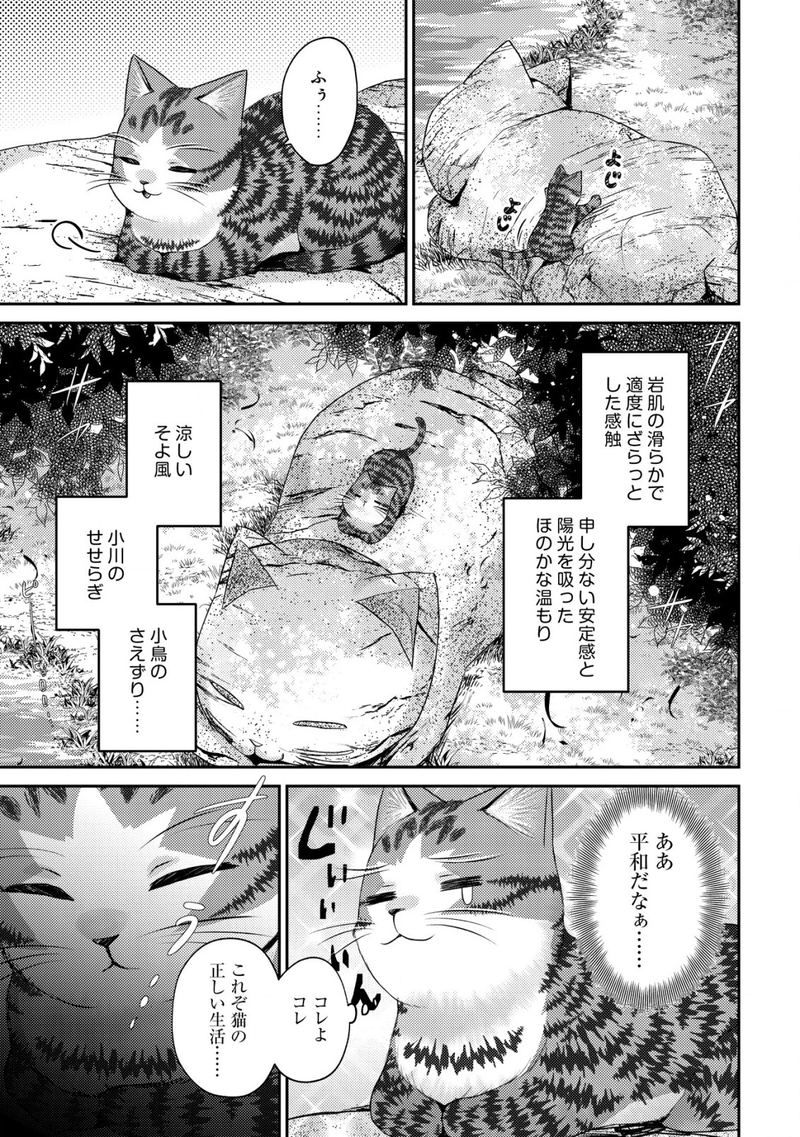 我輩は猫魔導師である～キジトラ・ルークの快適チート猫生活～ 第16話 - 21