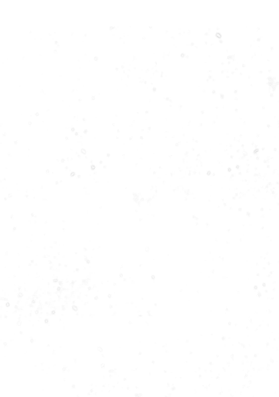 最果てのパラディン 第63話 - 24