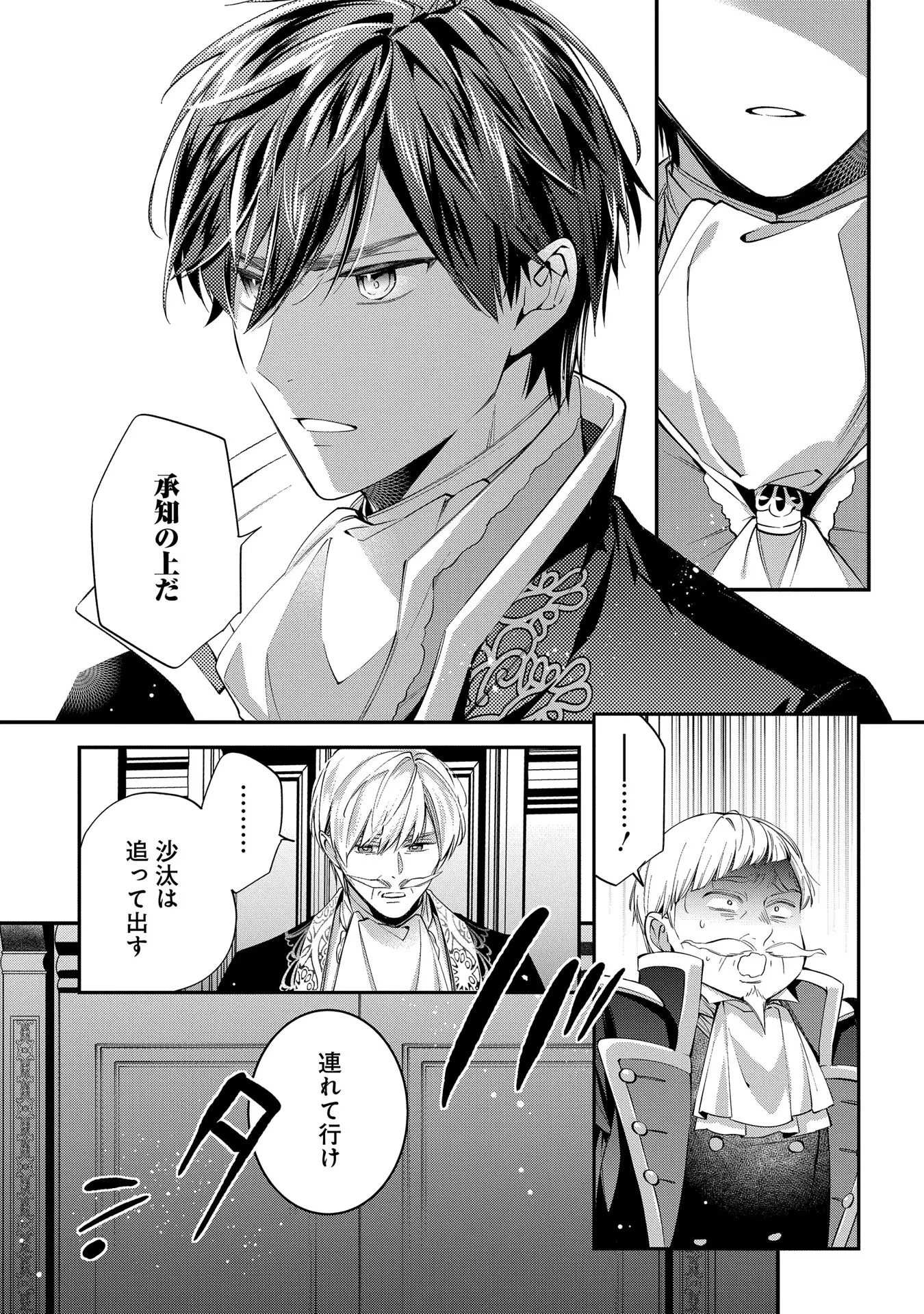 王太子に婚約破棄されたので、もうバカのふりはやめようと思います 第17話 - 7