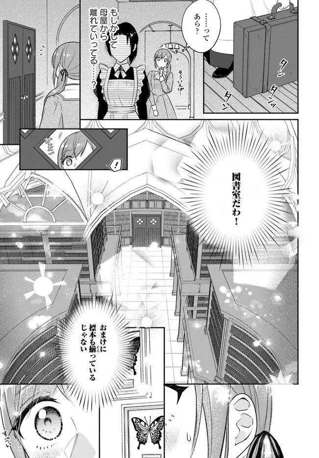 政略結婚の夫に「愛さなくて結構です」と宣言したら溺愛が始まりました 第1.2話 - 11