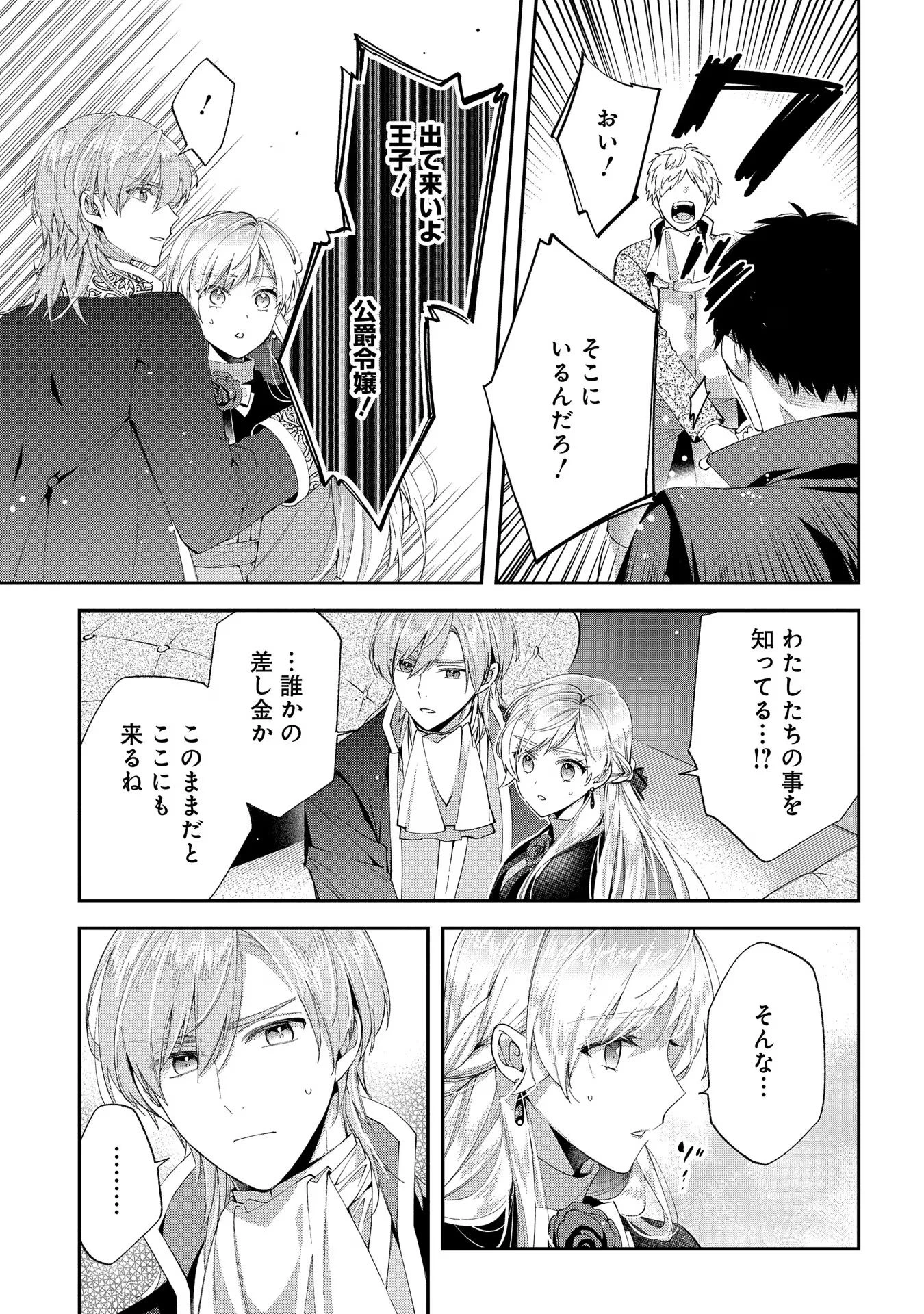 王太子に婚約破棄されたので、もうバカのふりはやめようと思います 第14話 - 29