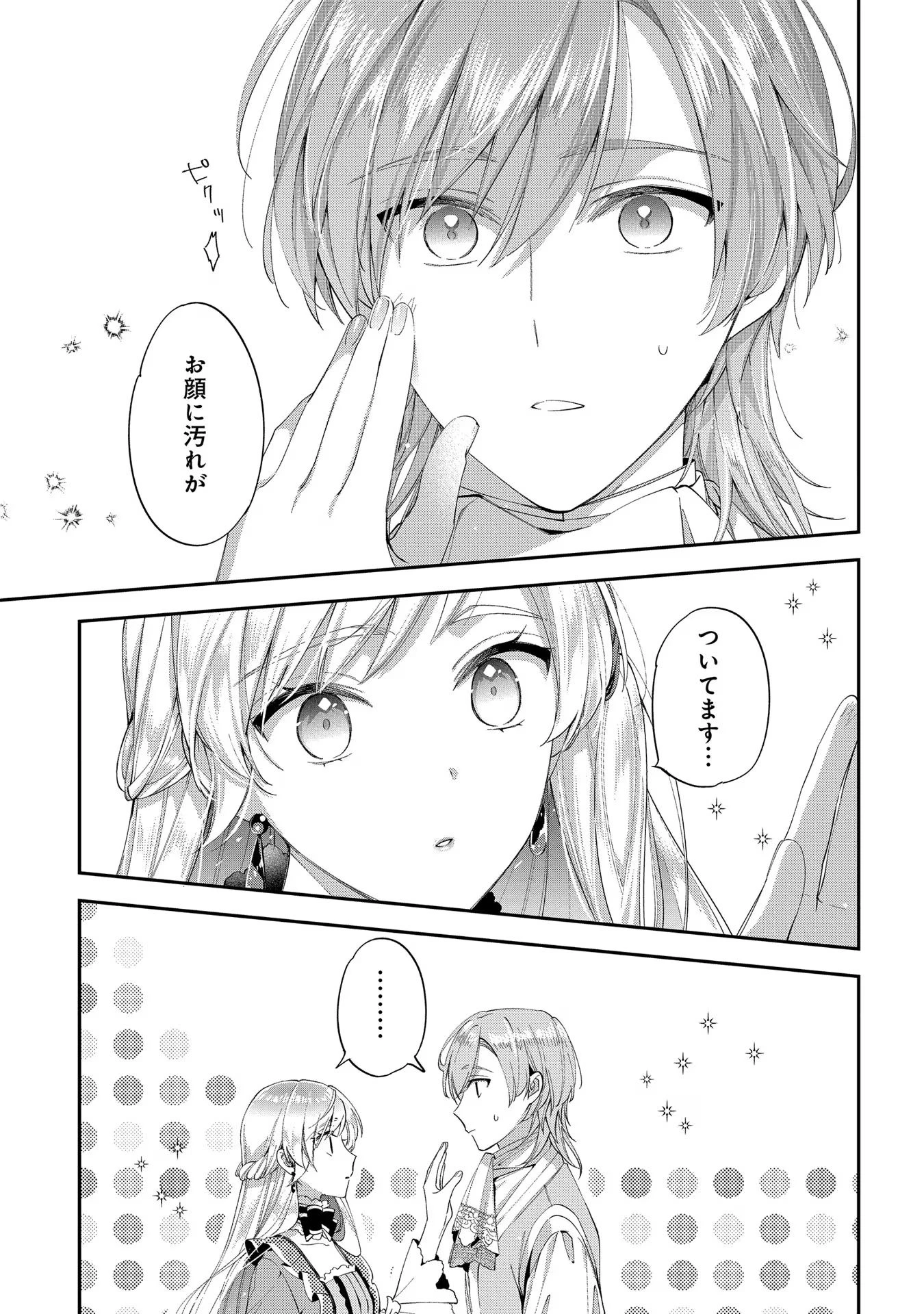 王太子に婚約破棄されたので、もうバカのふりはやめようと思います 第13話 - 11