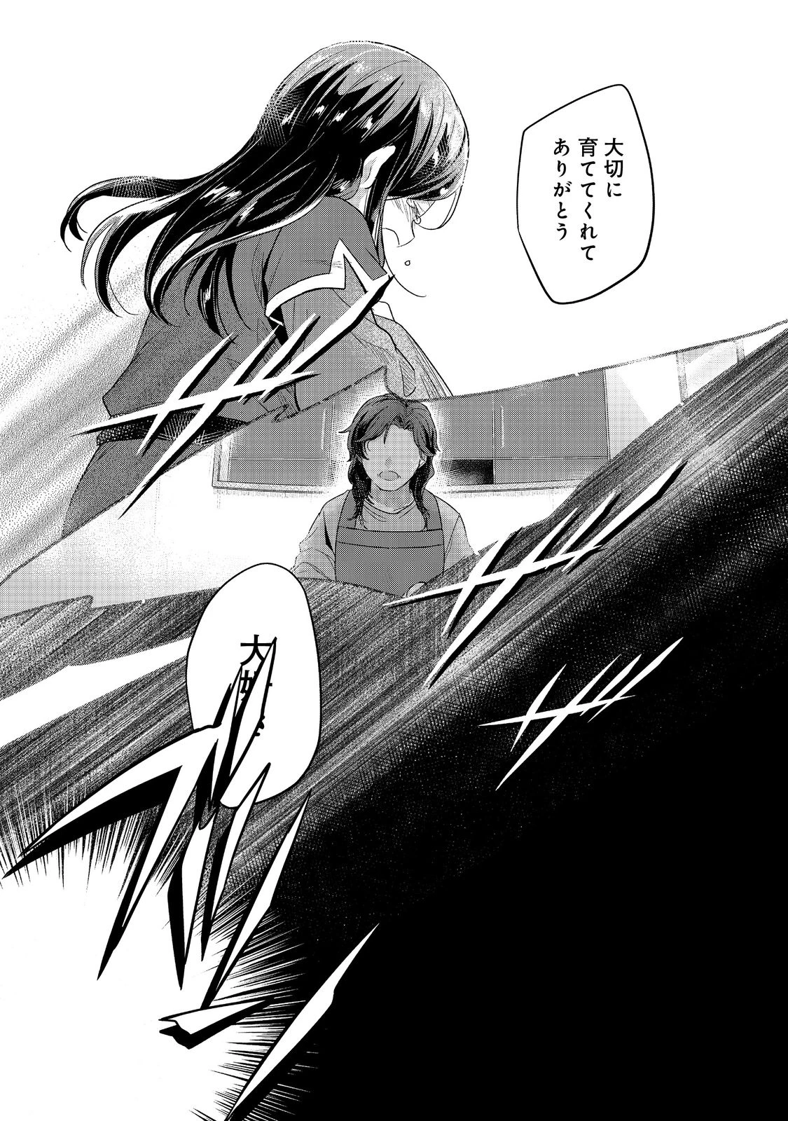 本好きの下剋上 第二部 本のためなら巫女になる！ 第39.1話 - 9