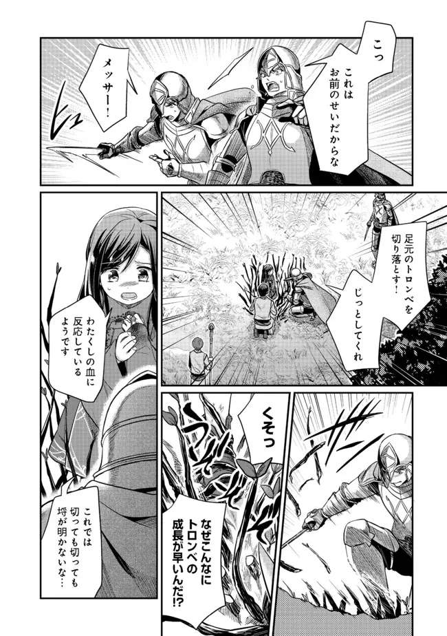 本好きの下剋上 第二部 本のためなら巫女になる！ 第35.2話 - 11