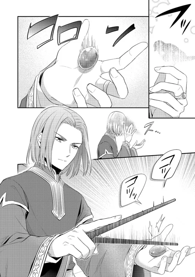 本好きの下剋上 第二部 本のためなら巫女になる！ 第33.2話 - 9