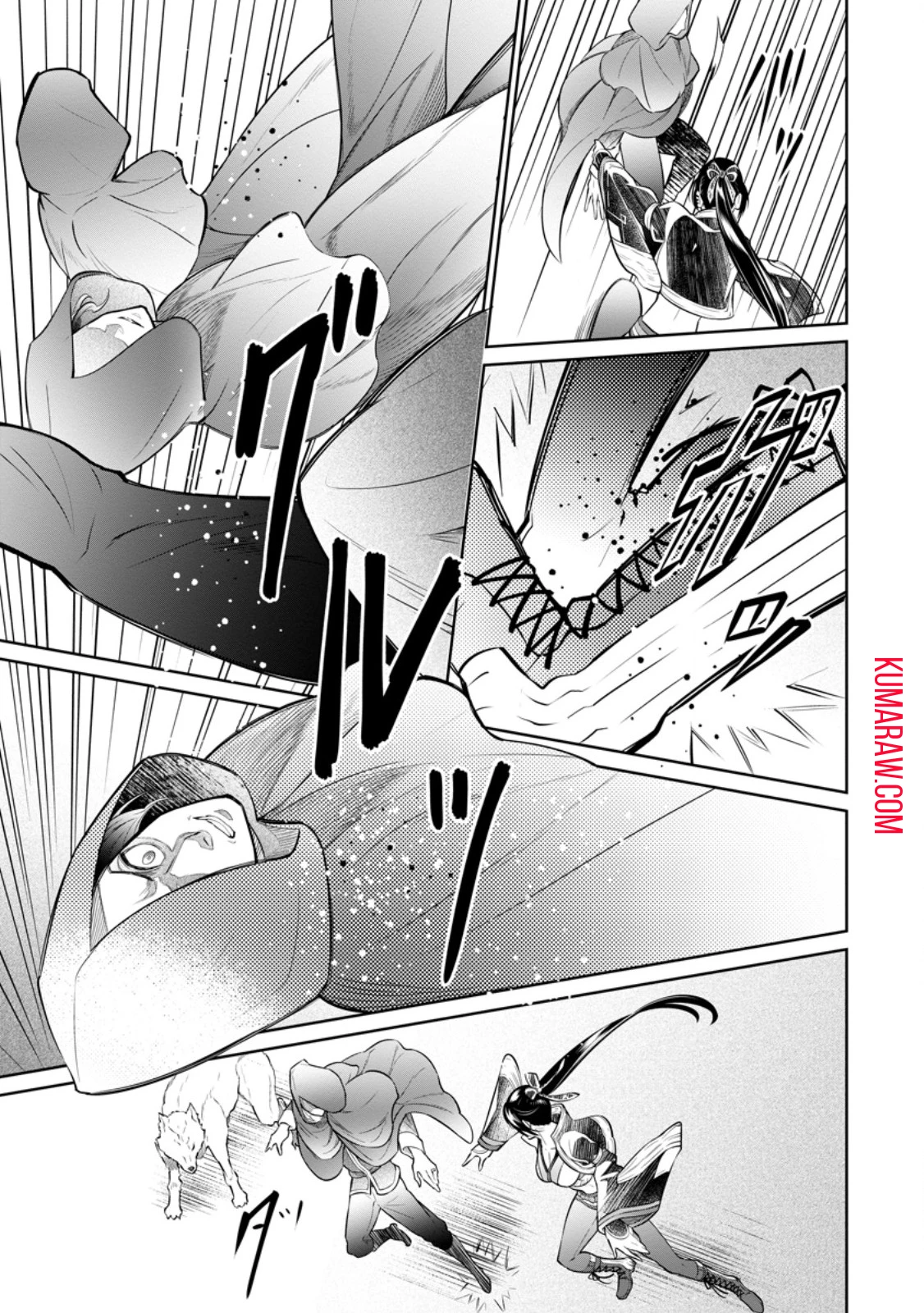 騙され裏切られ処刑された私が……誰を信じられるというのでしょう? 第28.2話 - 5