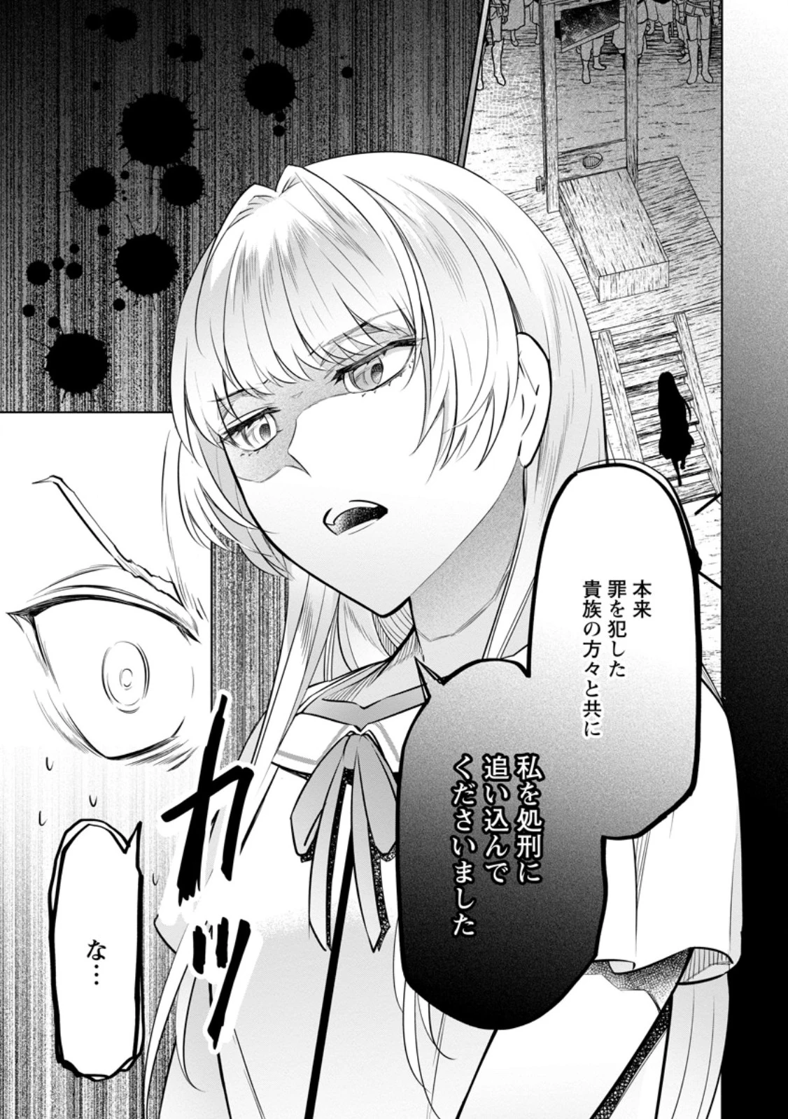 騙され裏切られ処刑された私が……誰を信じられるというのでしょう? 第28.1話 - 9