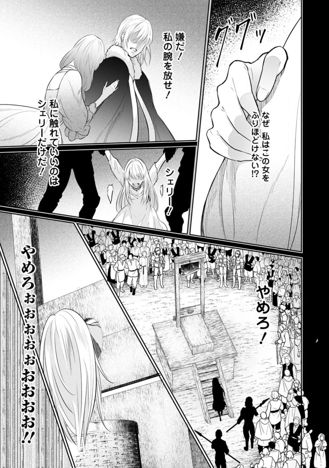 騙され裏切られ処刑された私が……誰を信じられるというのでしょう? 第23.1話 - 7