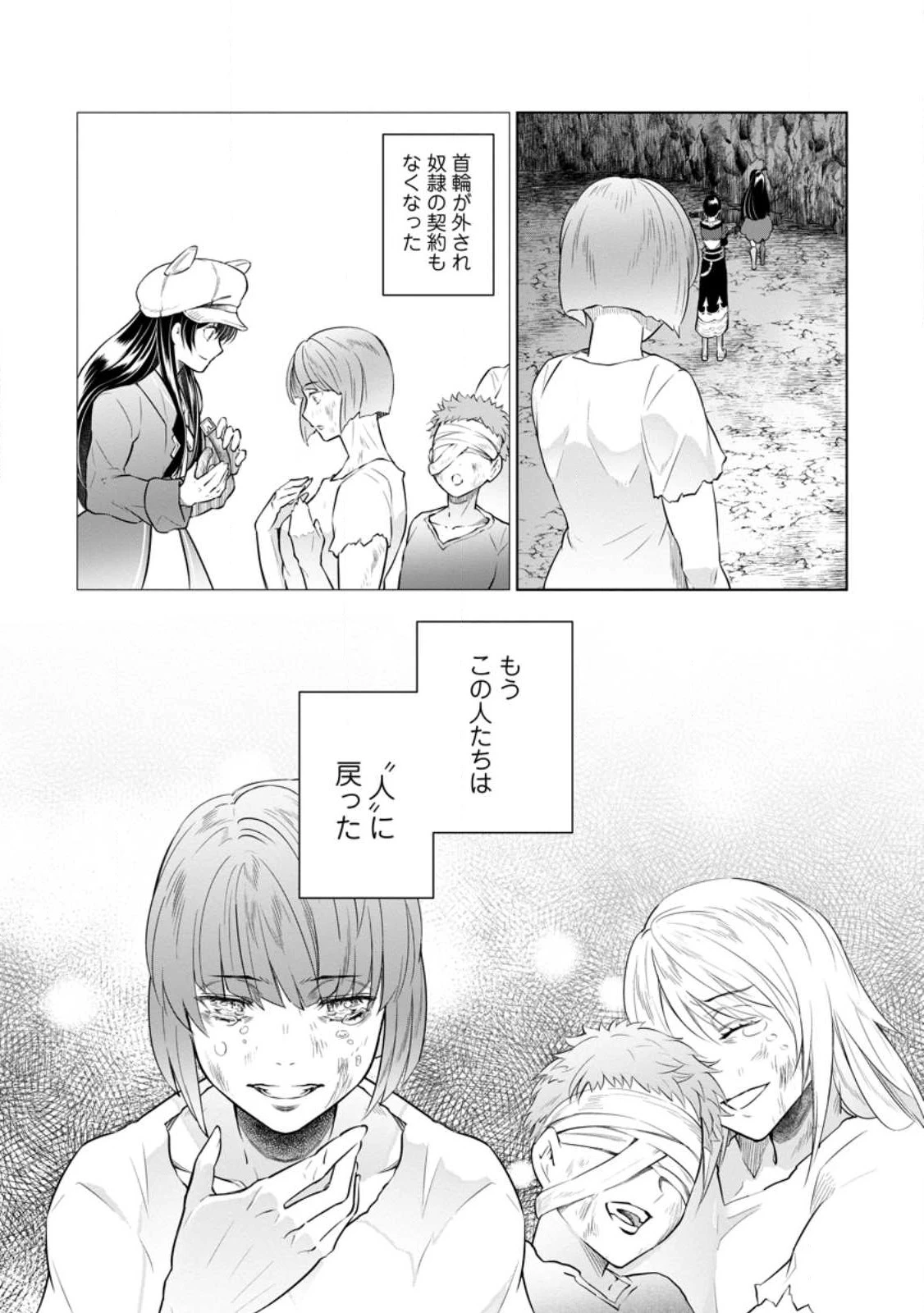 騙され裏切られ処刑された私が……誰を信じられるというのでしょう? 第20.2話 - 1