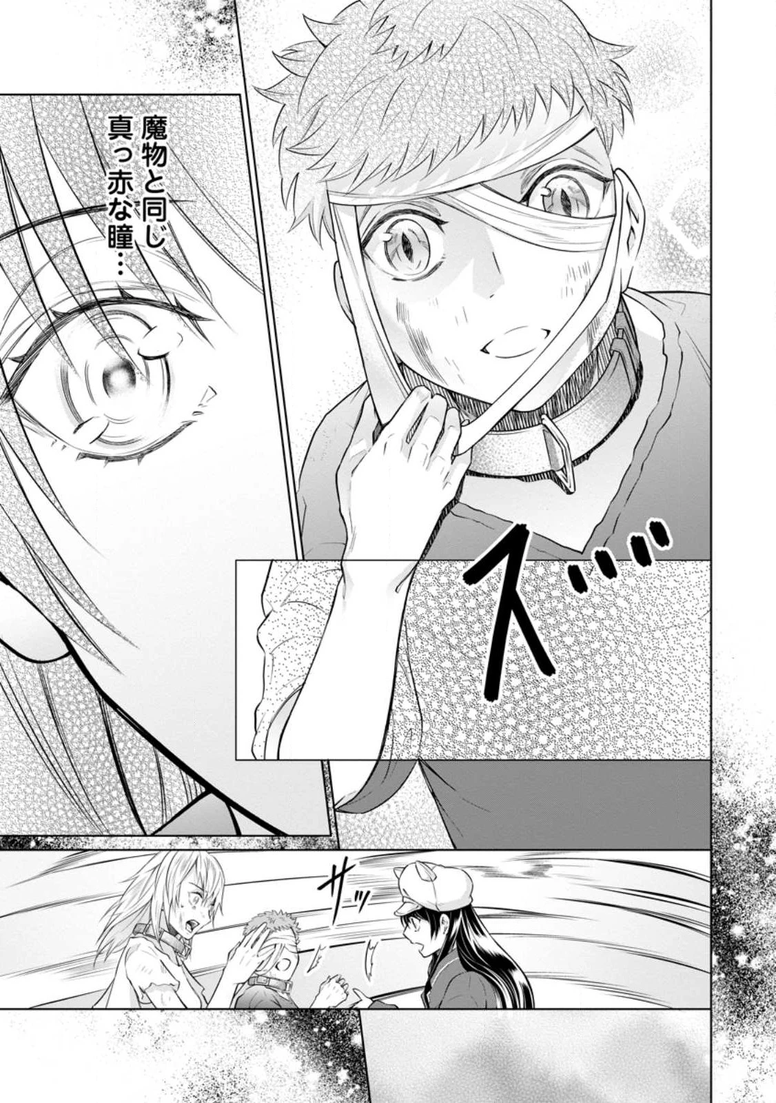 騙され裏切られ処刑された私が……誰を信じられるというのでしょう? 第18.3話 - 1