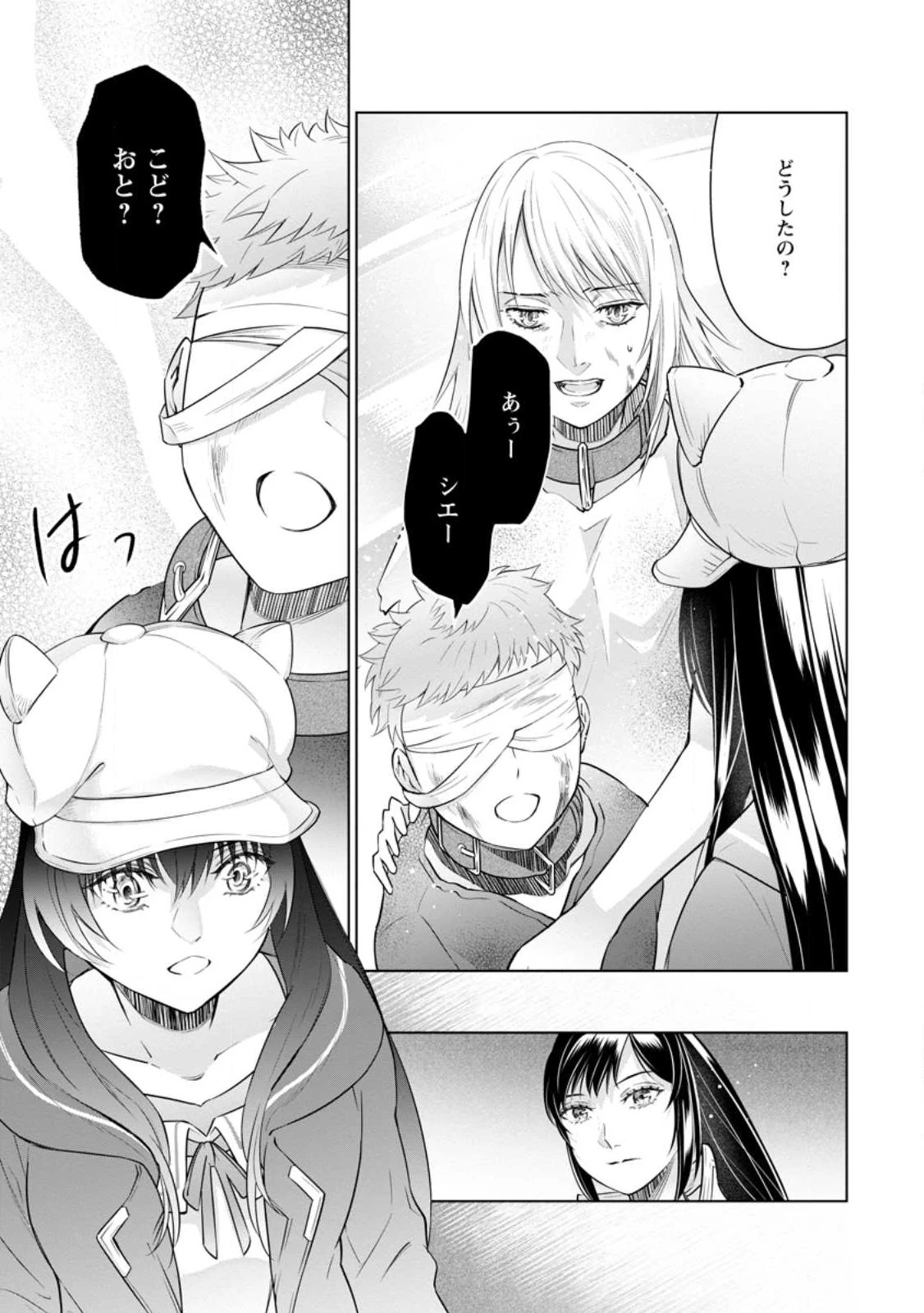 騙され裏切られ処刑された私が……誰を信じられるというのでしょう? 第18.2話 - 9