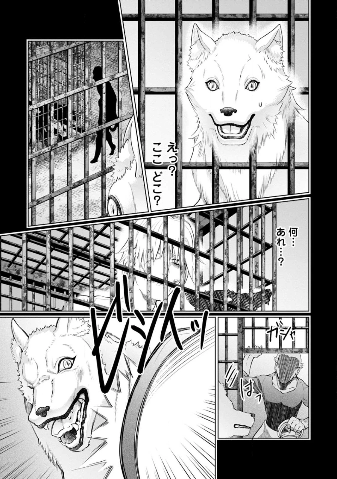 騙され裏切られ処刑された私が……誰を信じられるというのでしょう? 第17.1話 - 7