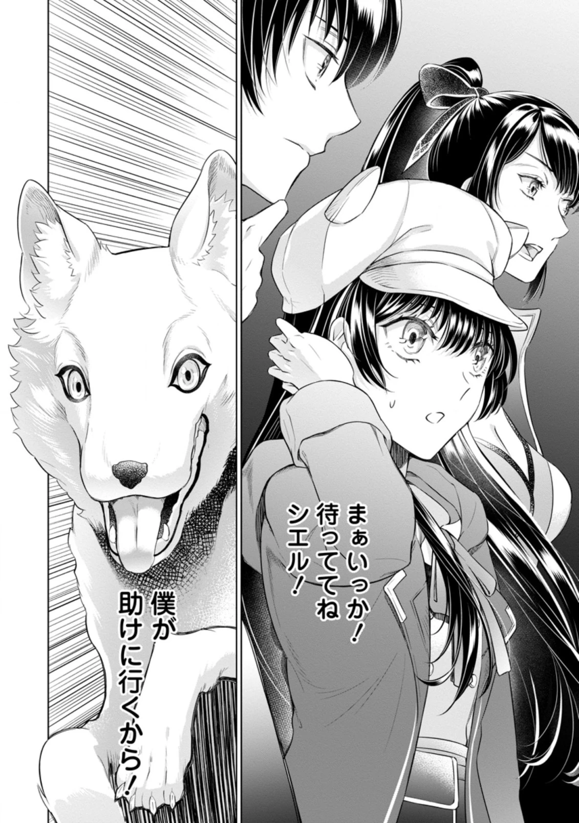 騙され裏切られ処刑された私が……誰を信じられるというのでしょう? 第16.3話 - 10