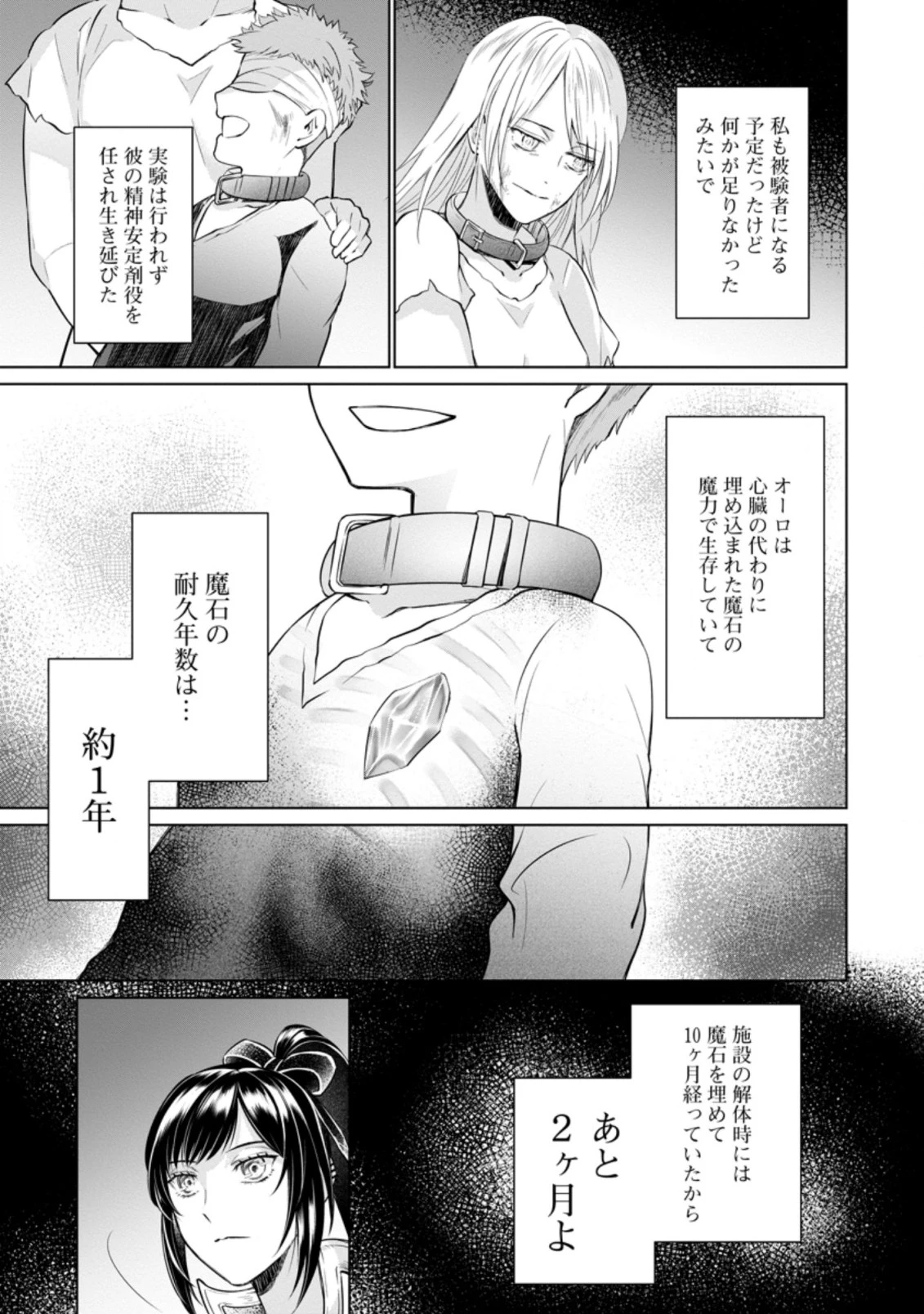 騙され裏切られ処刑された私が……誰を信じられるというのでしょう? 第15.2話 - 9