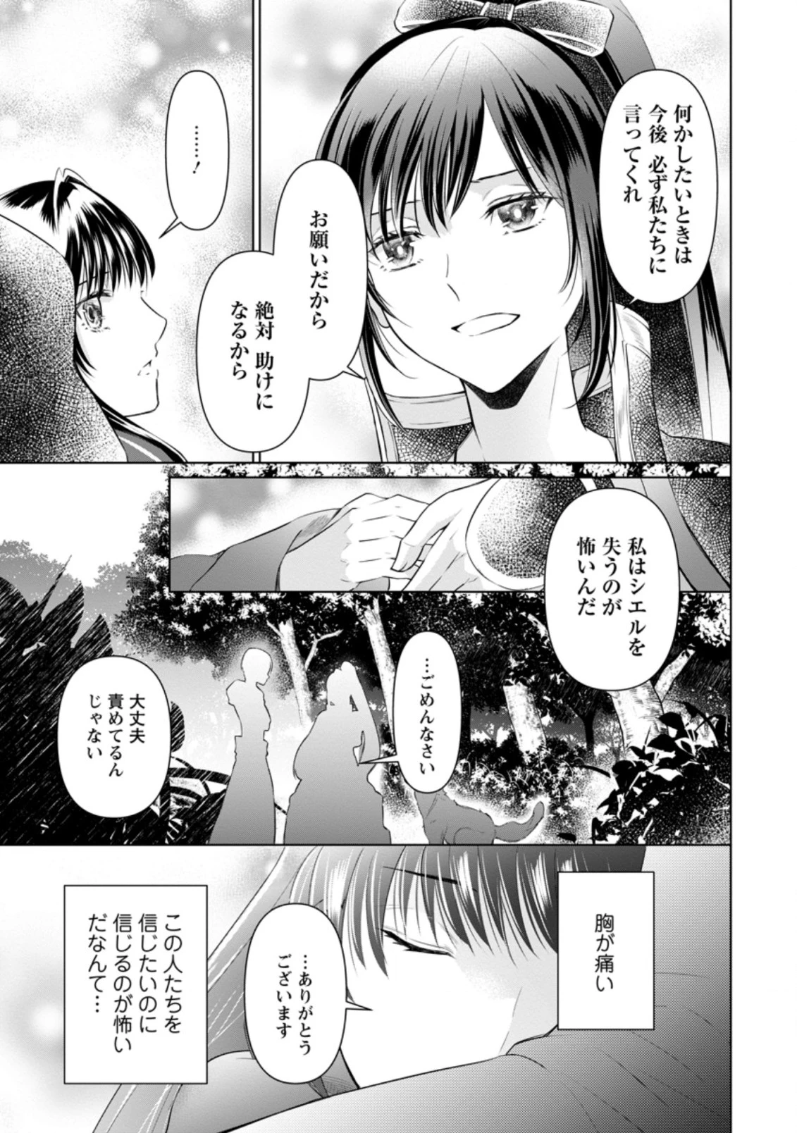 騙され裏切られ処刑された私が……誰を信じられるというのでしょう? 第9.1話 - 5