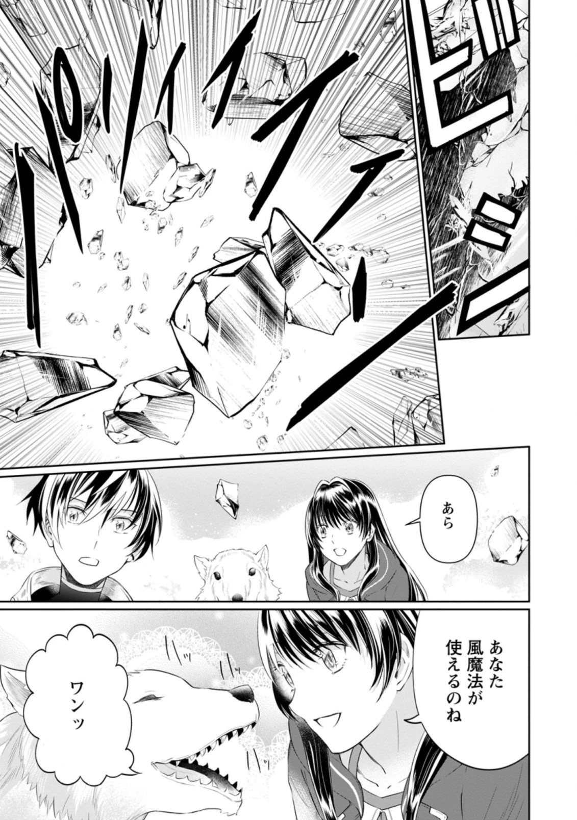 騙され裏切られ処刑された私が……誰を信じられるというのでしょう? 第8.3話 - 9