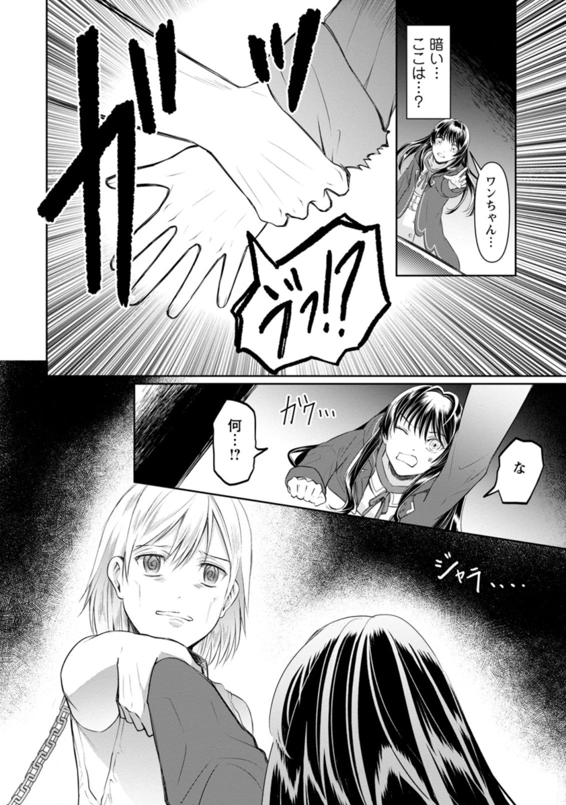 騙され裏切られ処刑された私が……誰を信じられるというのでしょう? 第8.1話 - 8