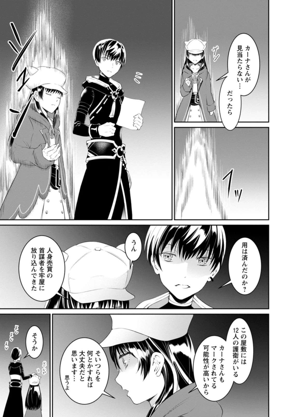 騙され裏切られ処刑された私が……誰を信じられるというのでしょう? 第4.2話 - 9