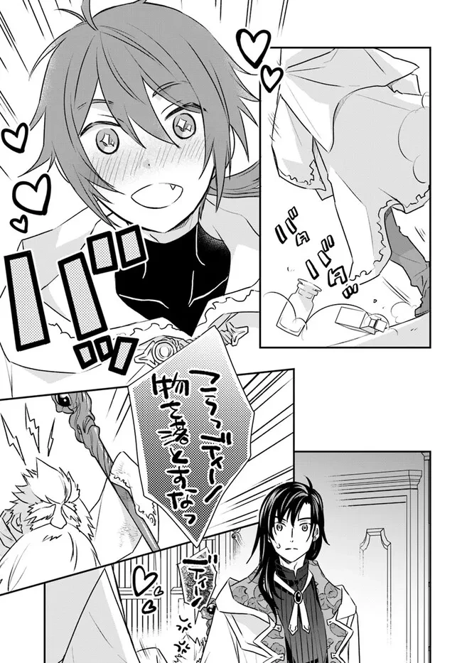 宮廷魔術師の婚約者 第15.1話 - 5