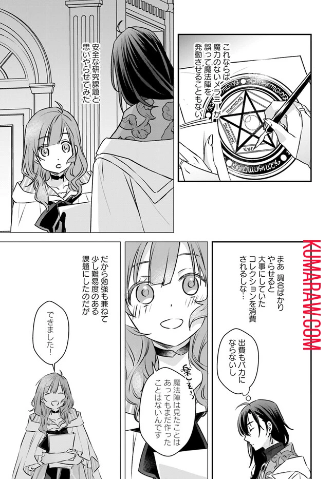 宮廷魔術師の婚約者 第13.1話 - 7