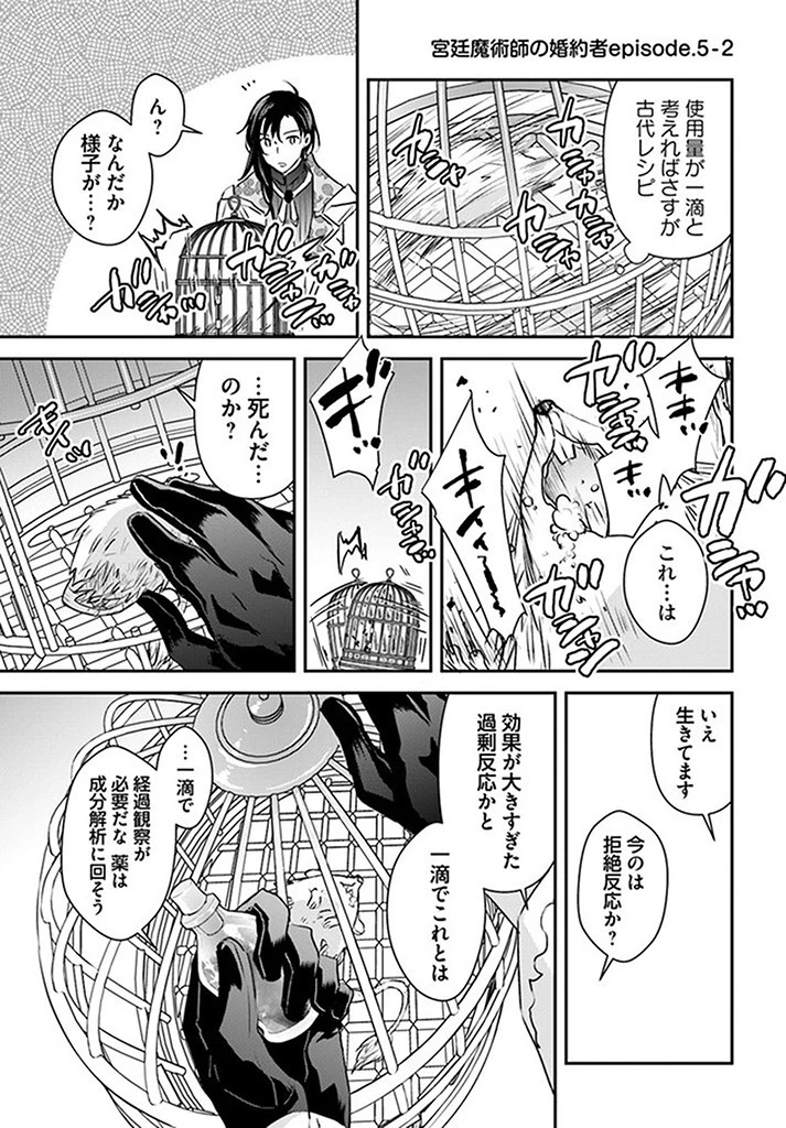 宮廷魔術師の婚約者 第5.2話 - 1